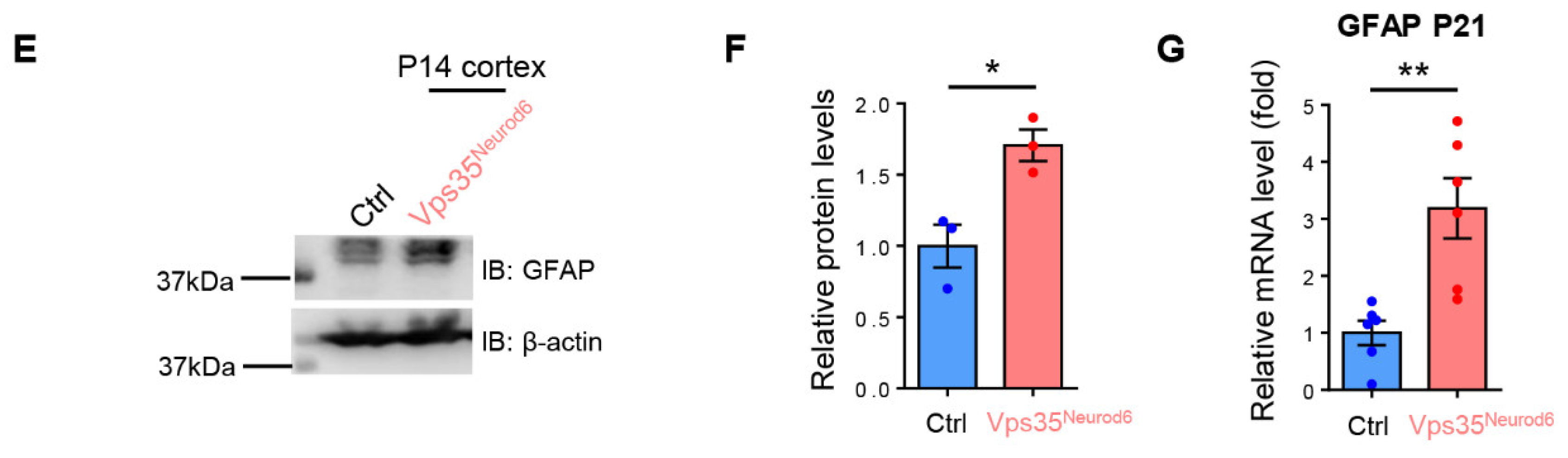 Biomedicines 10 01653 g006b