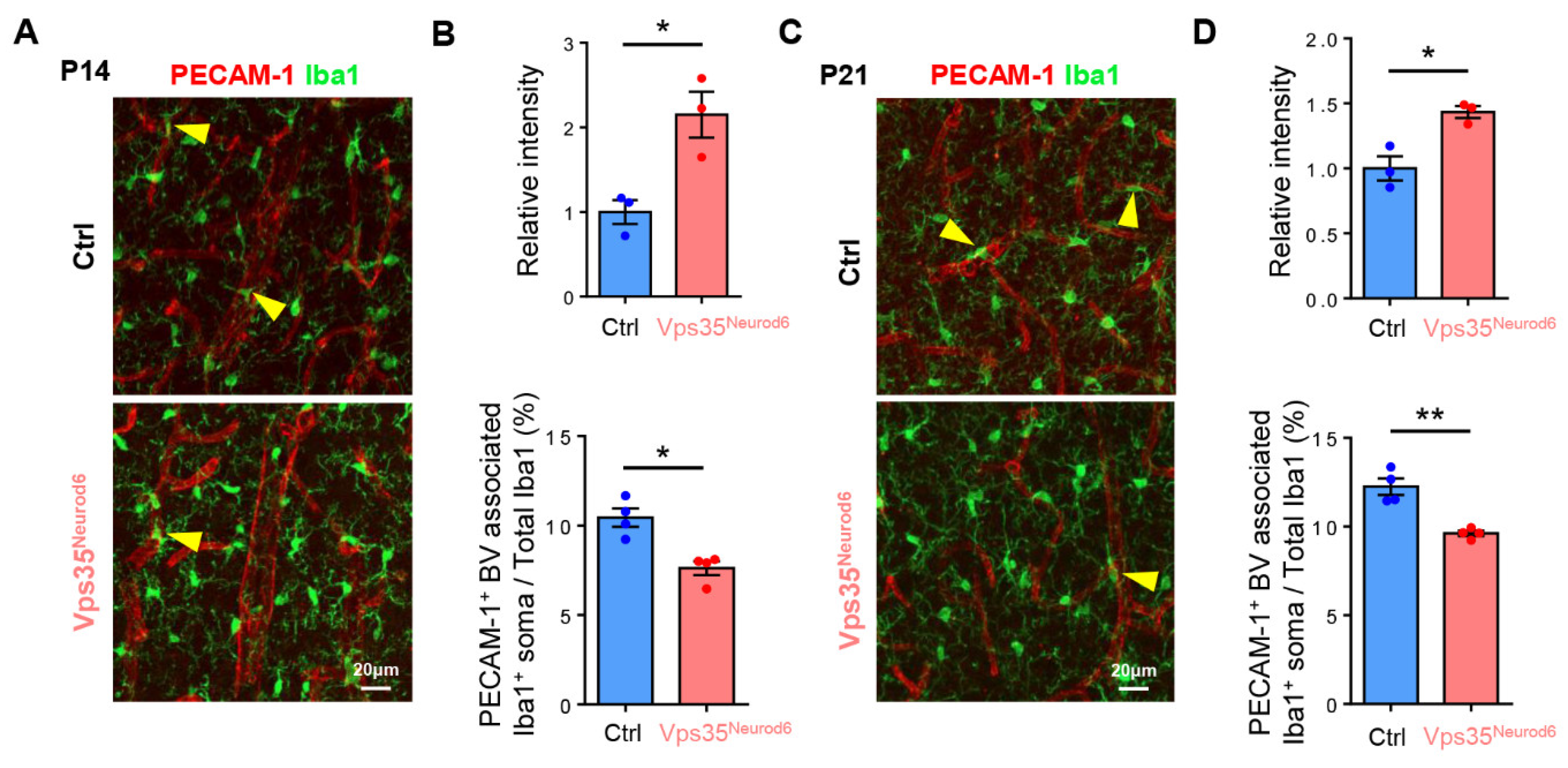 Biomedicines 10 01653 g007