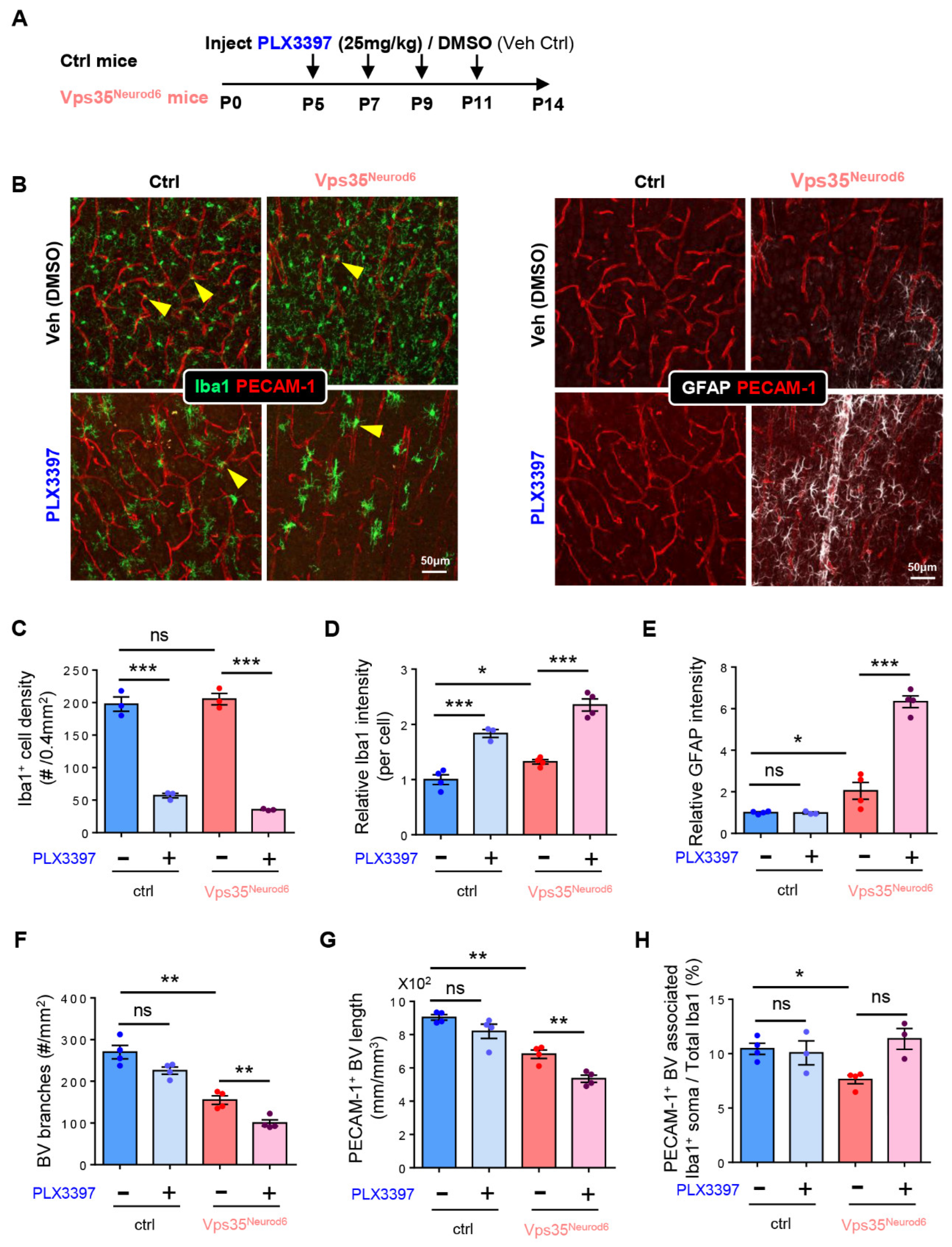 Biomedicines 10 01653 g008