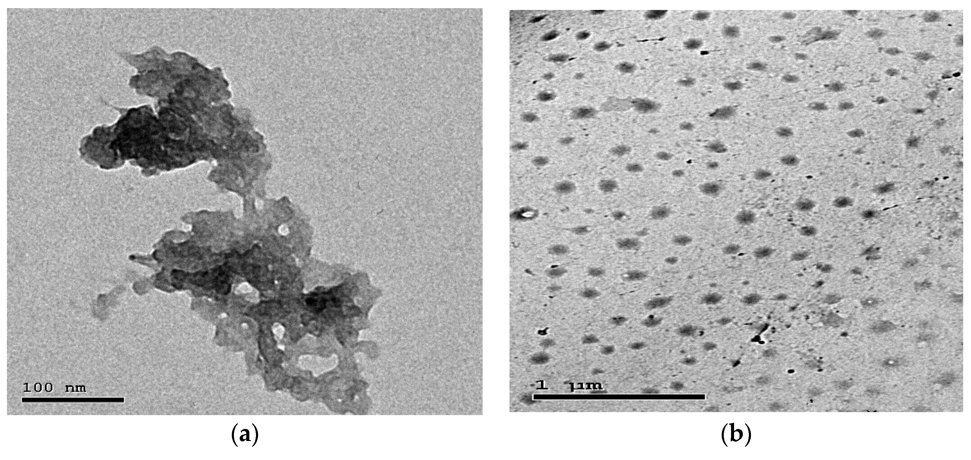 Biomedicines Free Full Text Therapeutic Potential Of Quercetin Loaded Nanoparticles Novel Insights In Alleviating Colitis In An Experimental Dss Induced Colitis Model Html