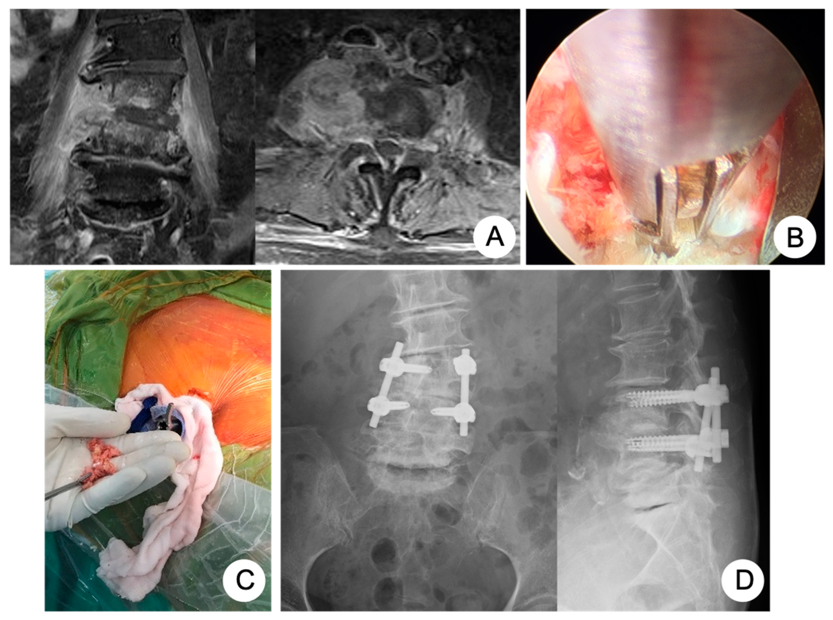 Biomedicines 10 01659 g001