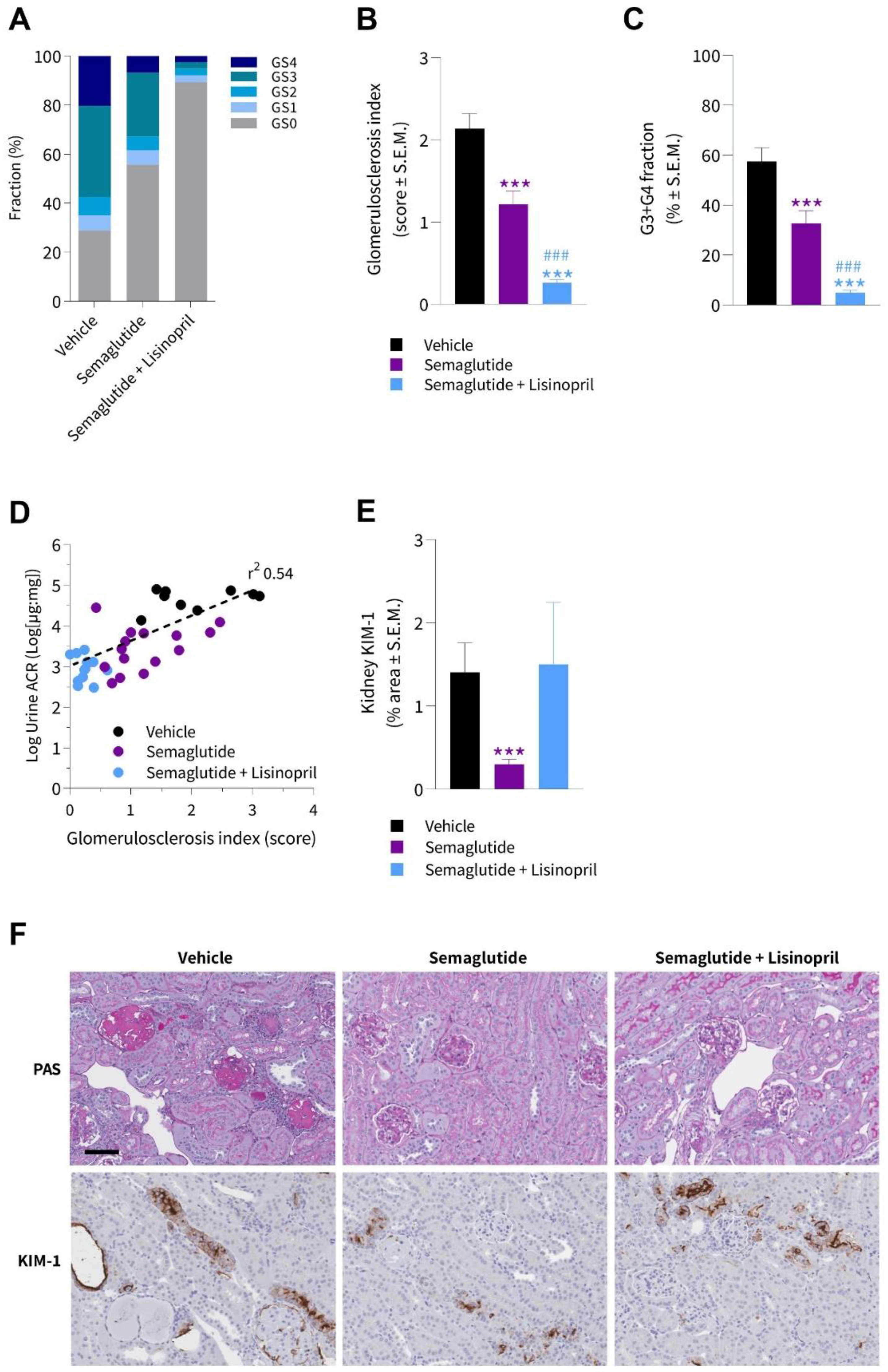 Biomedicines 10 01661 g005
