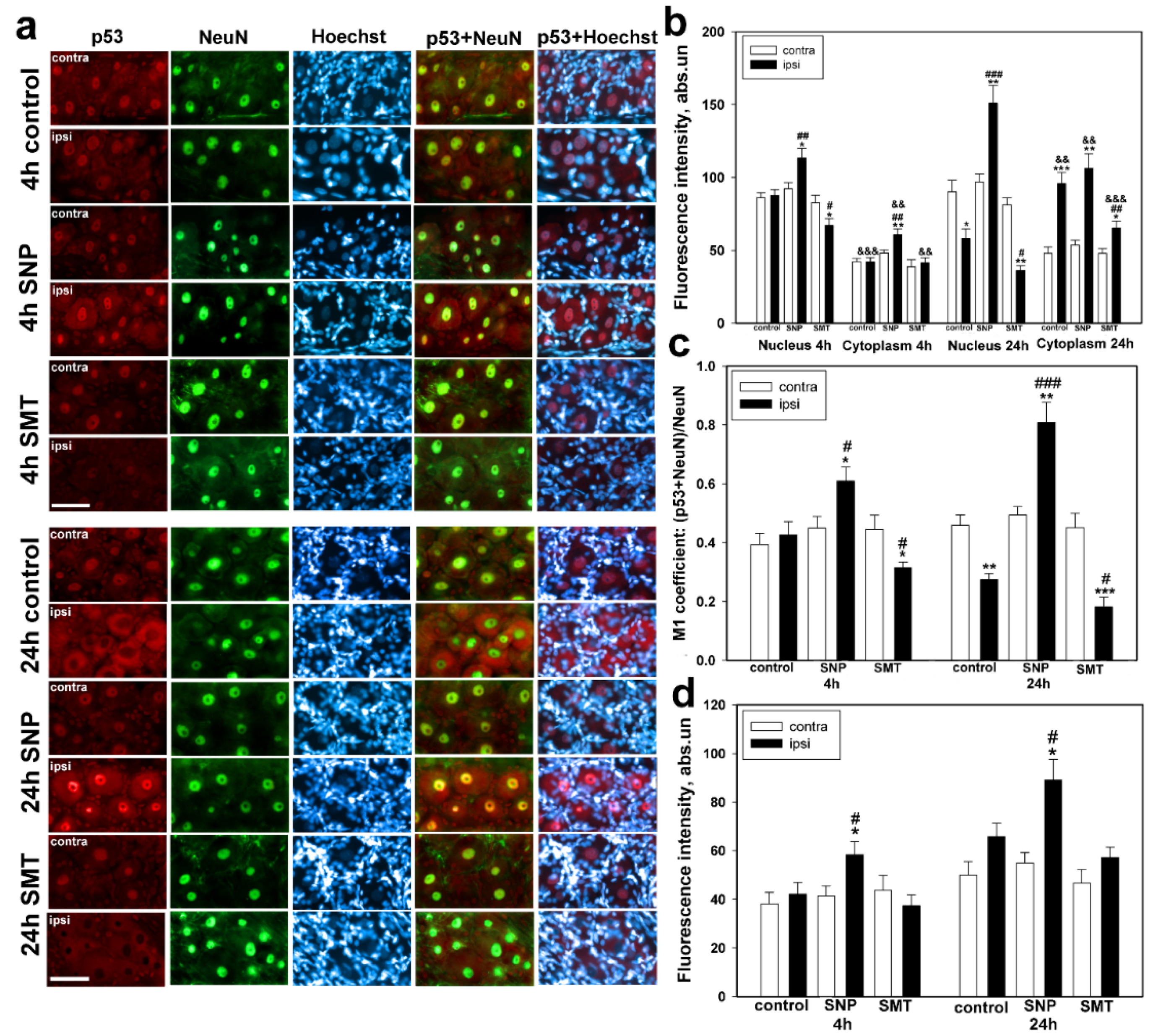 Biomedicines 10 01664 g001