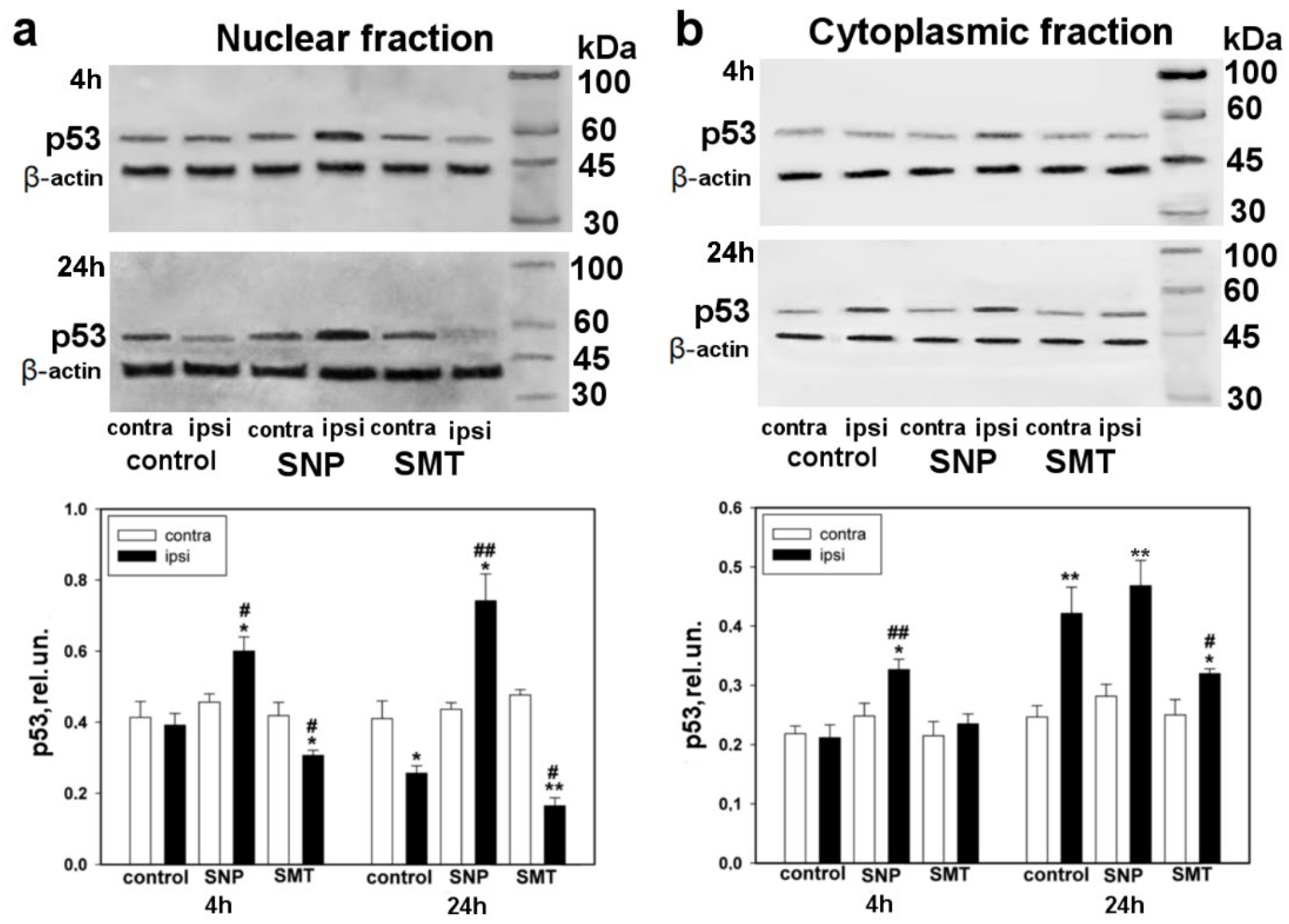 Biomedicines 10 01664 g002