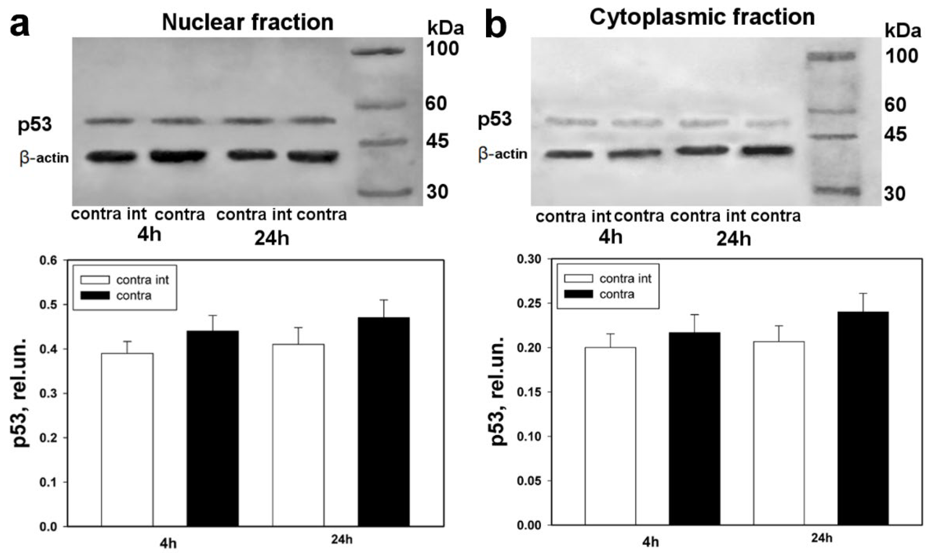 Biomedicines 10 01664 g003