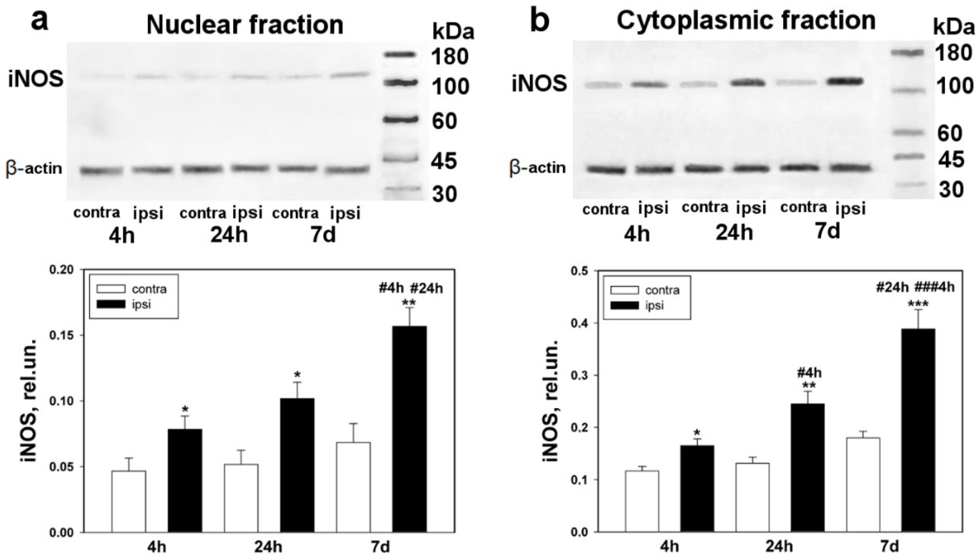 Biomedicines 10 01664 g004