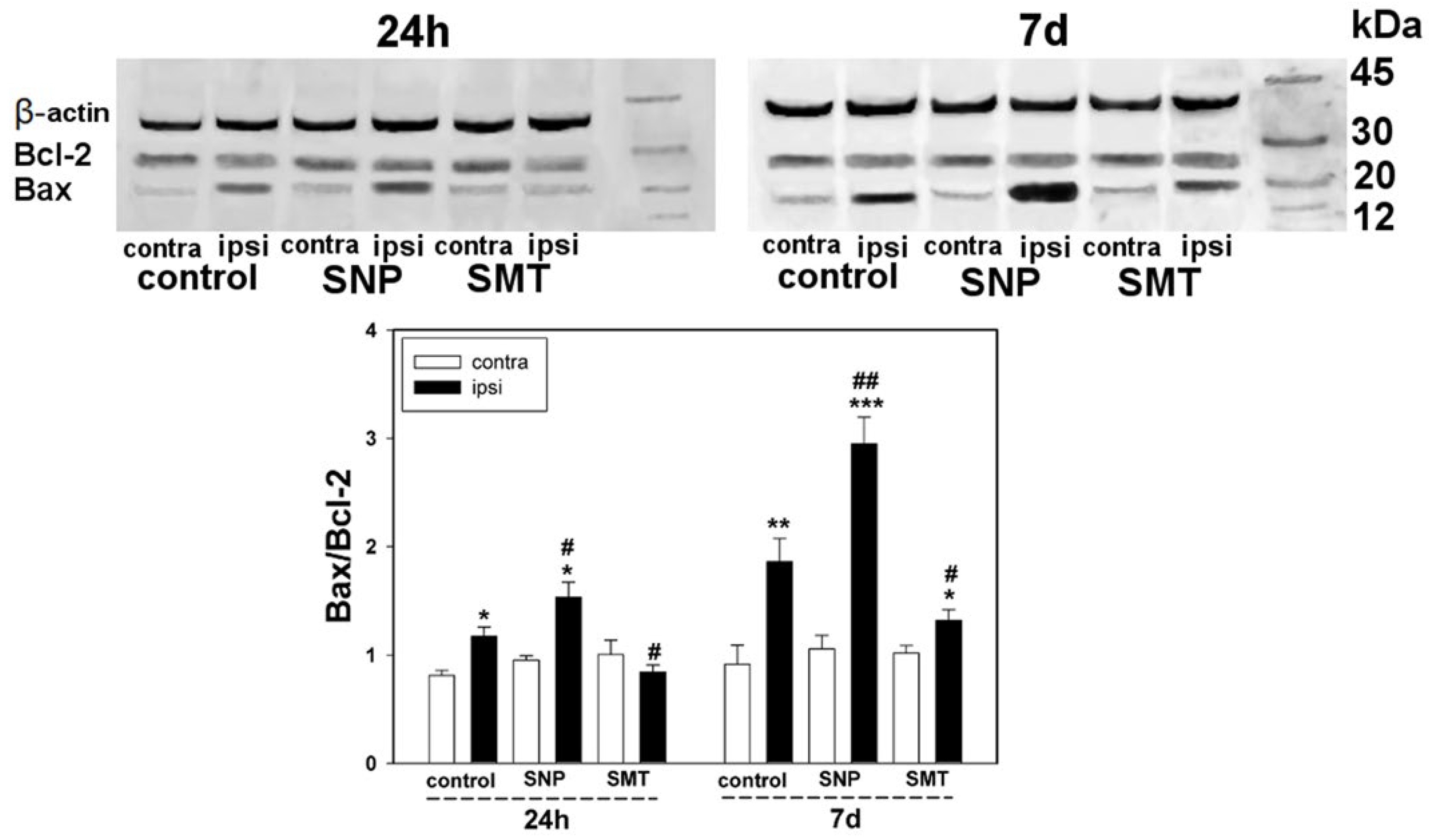 Biomedicines 10 01664 g006
