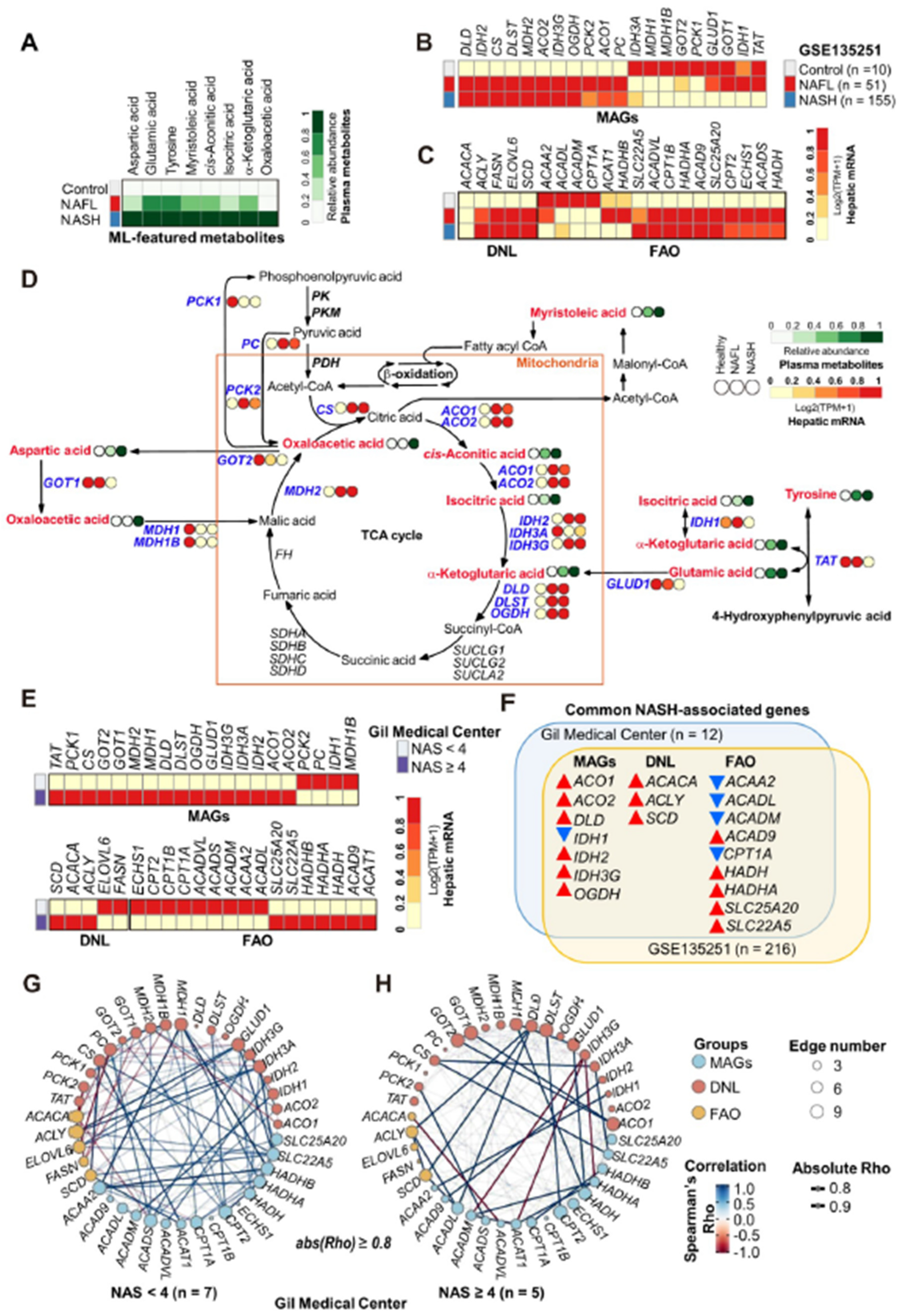 Biomedicines 10 01669 g007 550