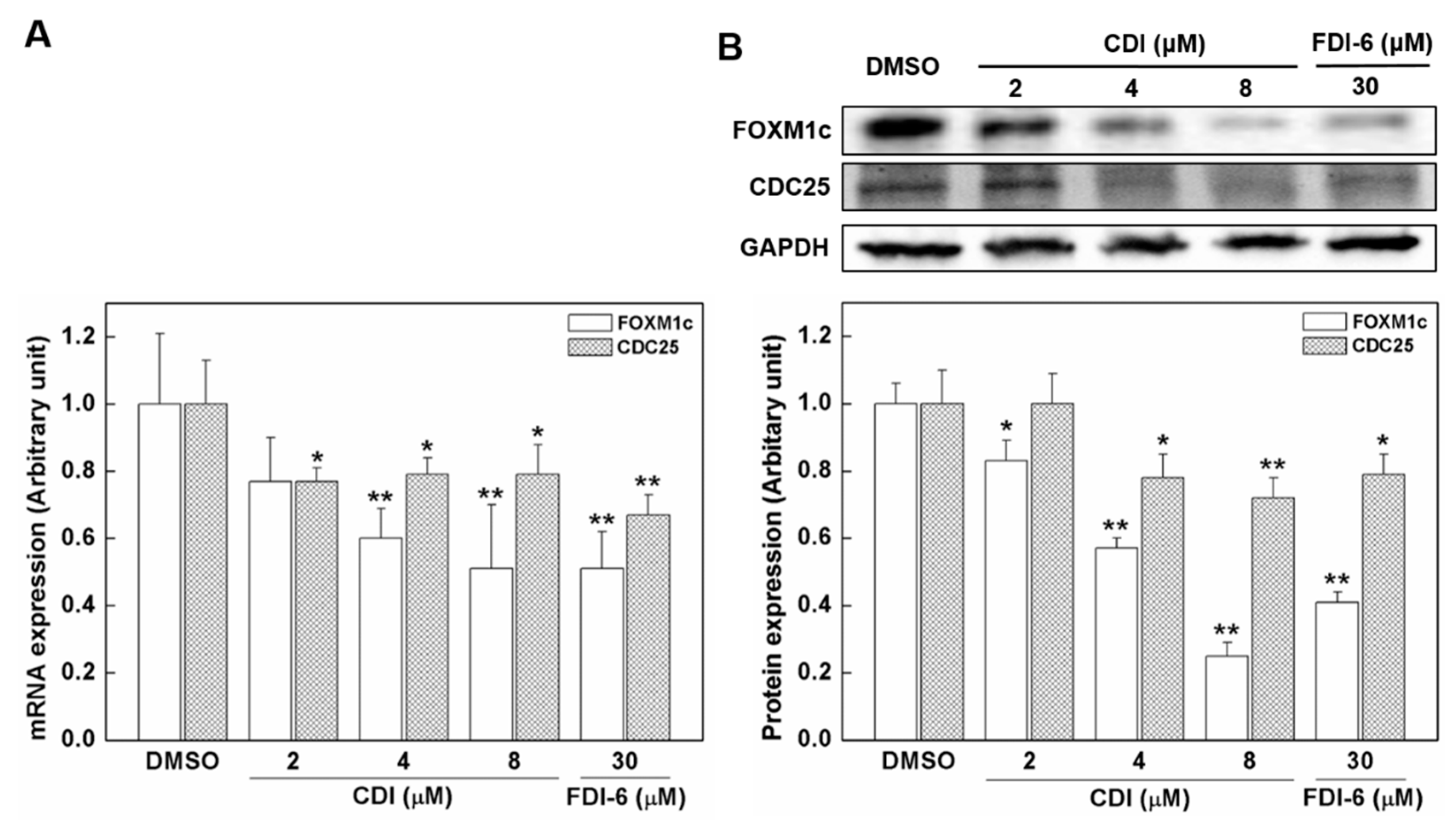 Biomedicines 10 01671 g003