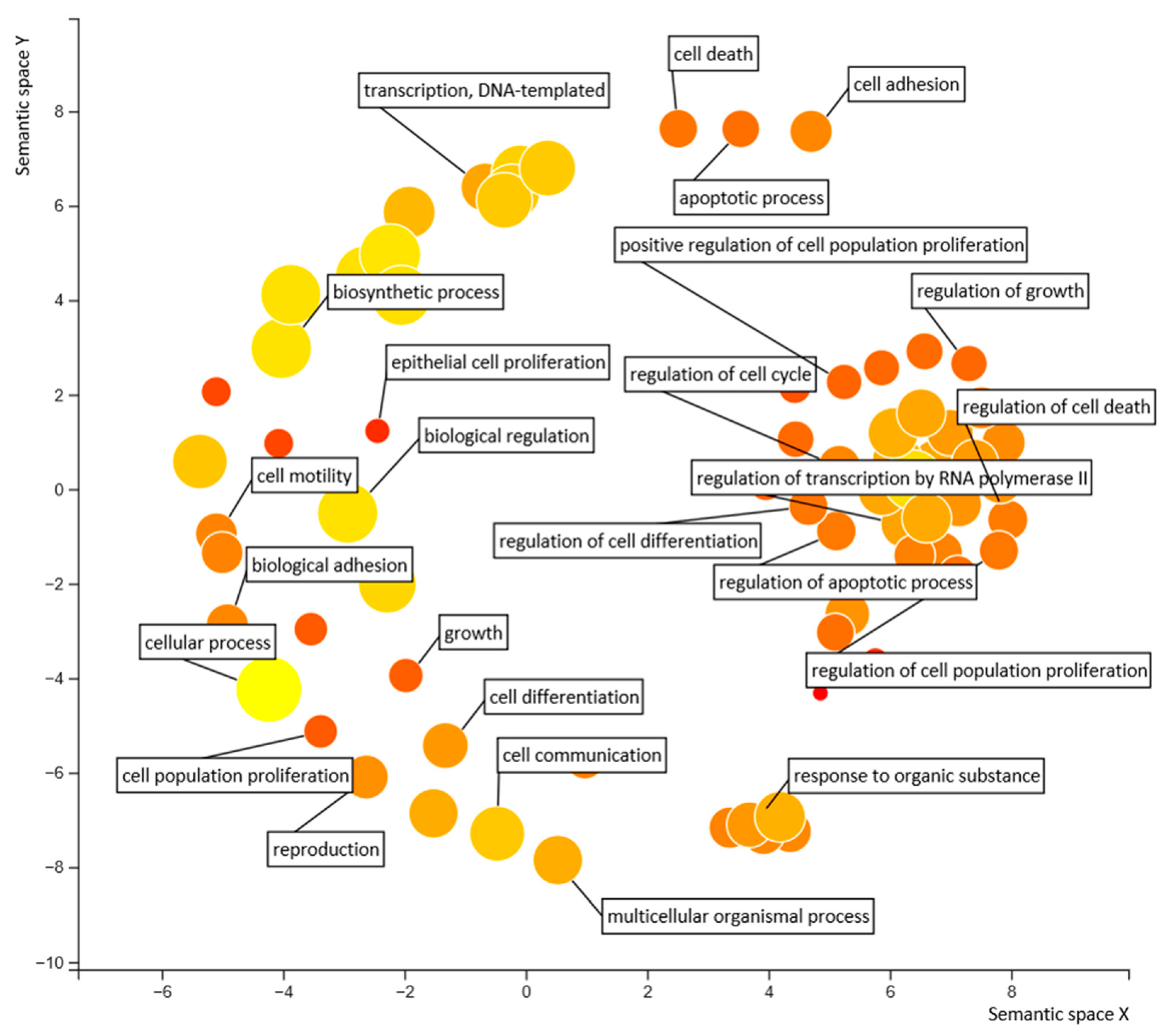 Biomedicines 10 01671 g006