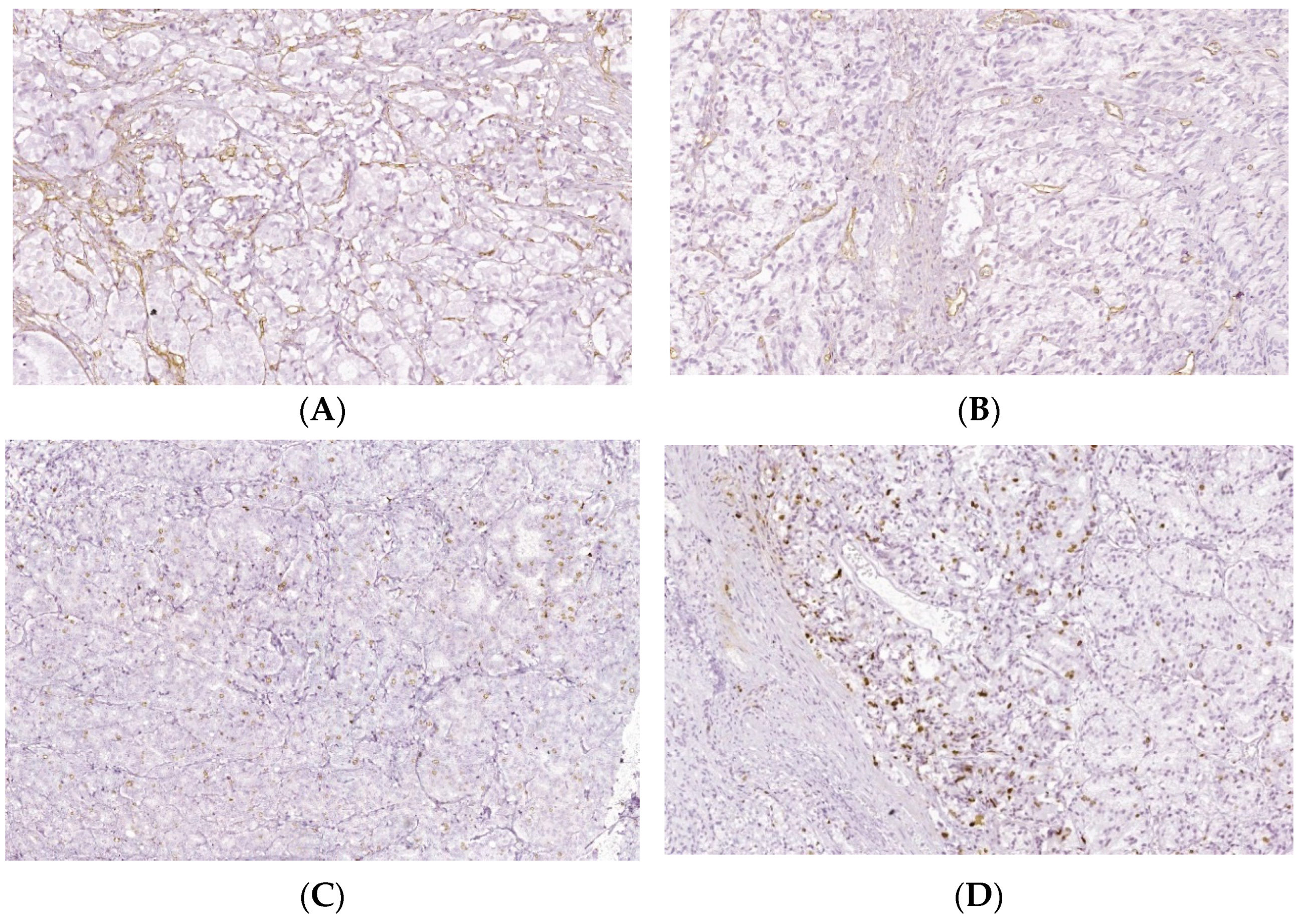 Biomedicines 10 01672 g006 Biomedicines 10 01672 g006