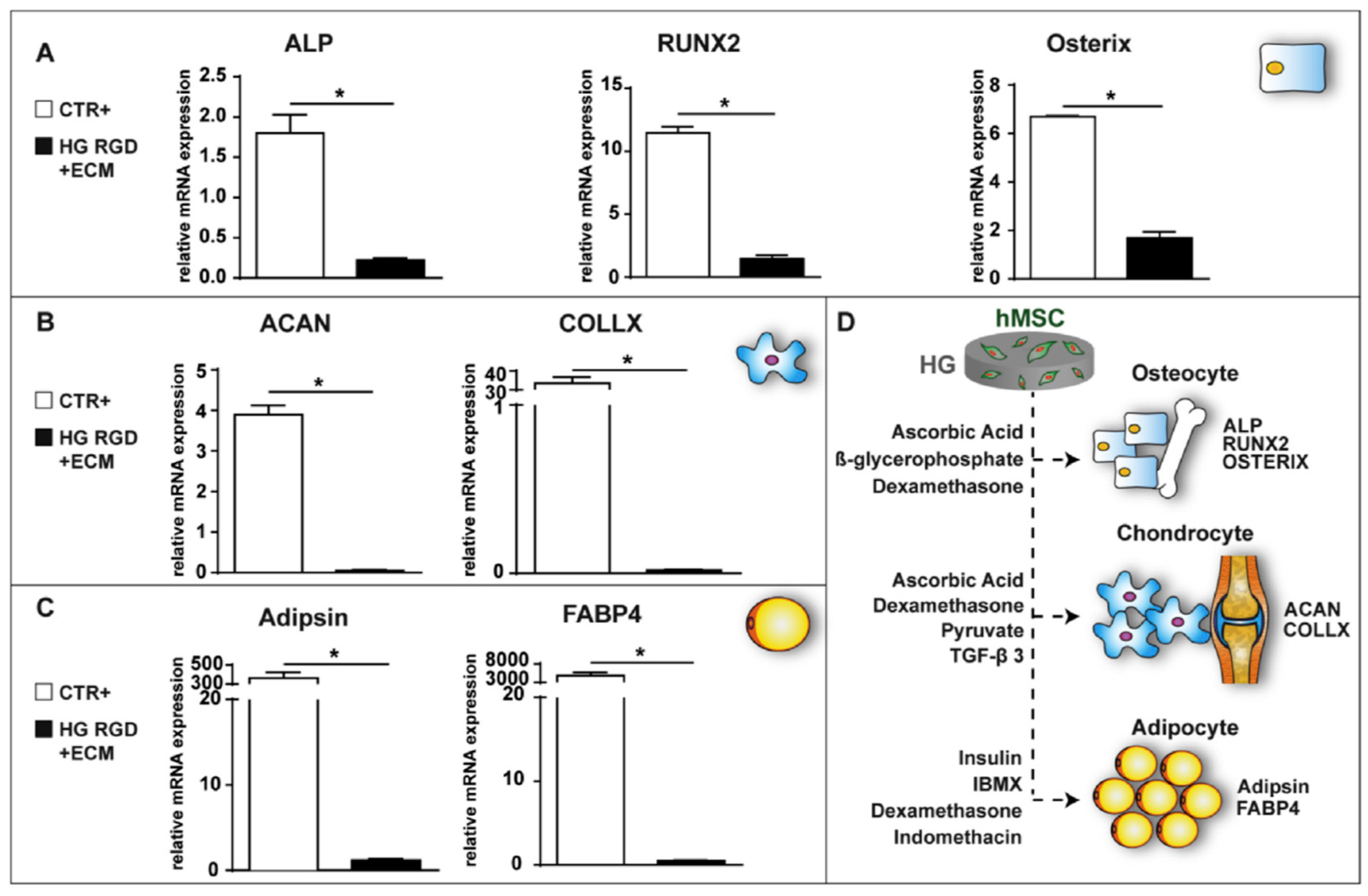 Biomedicines 10 01673 g002 Biomedicines 10 01673 g002