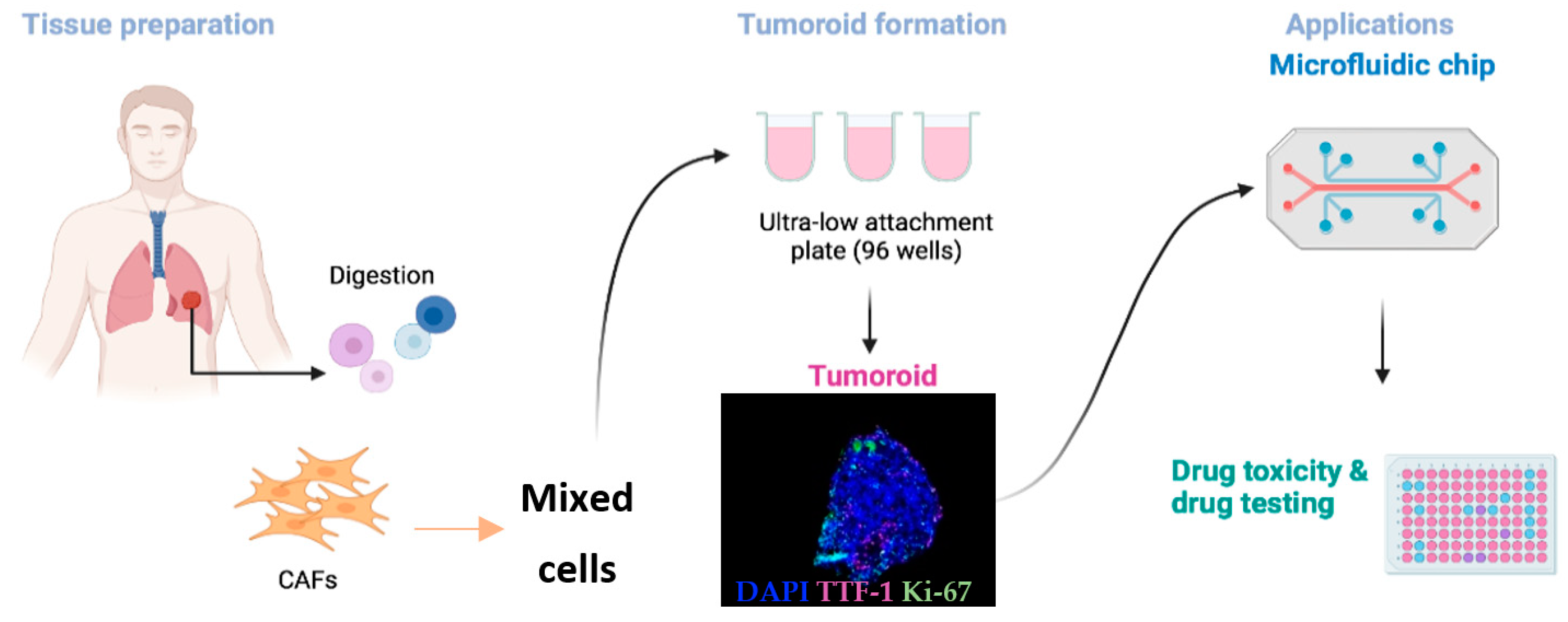 Biomedicines 10 01677 g002