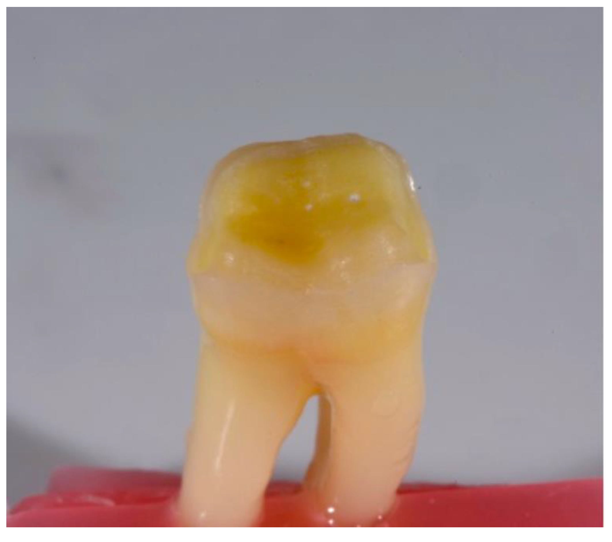 Biomedicines 10 01682 g001