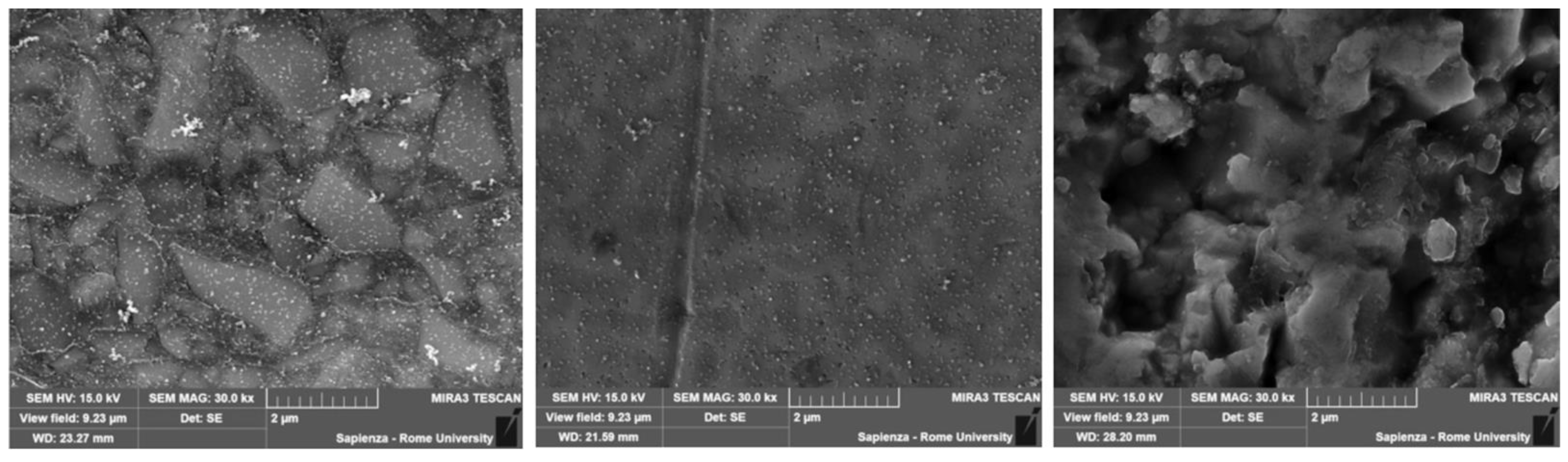 Biomedicines 10 01682 g003