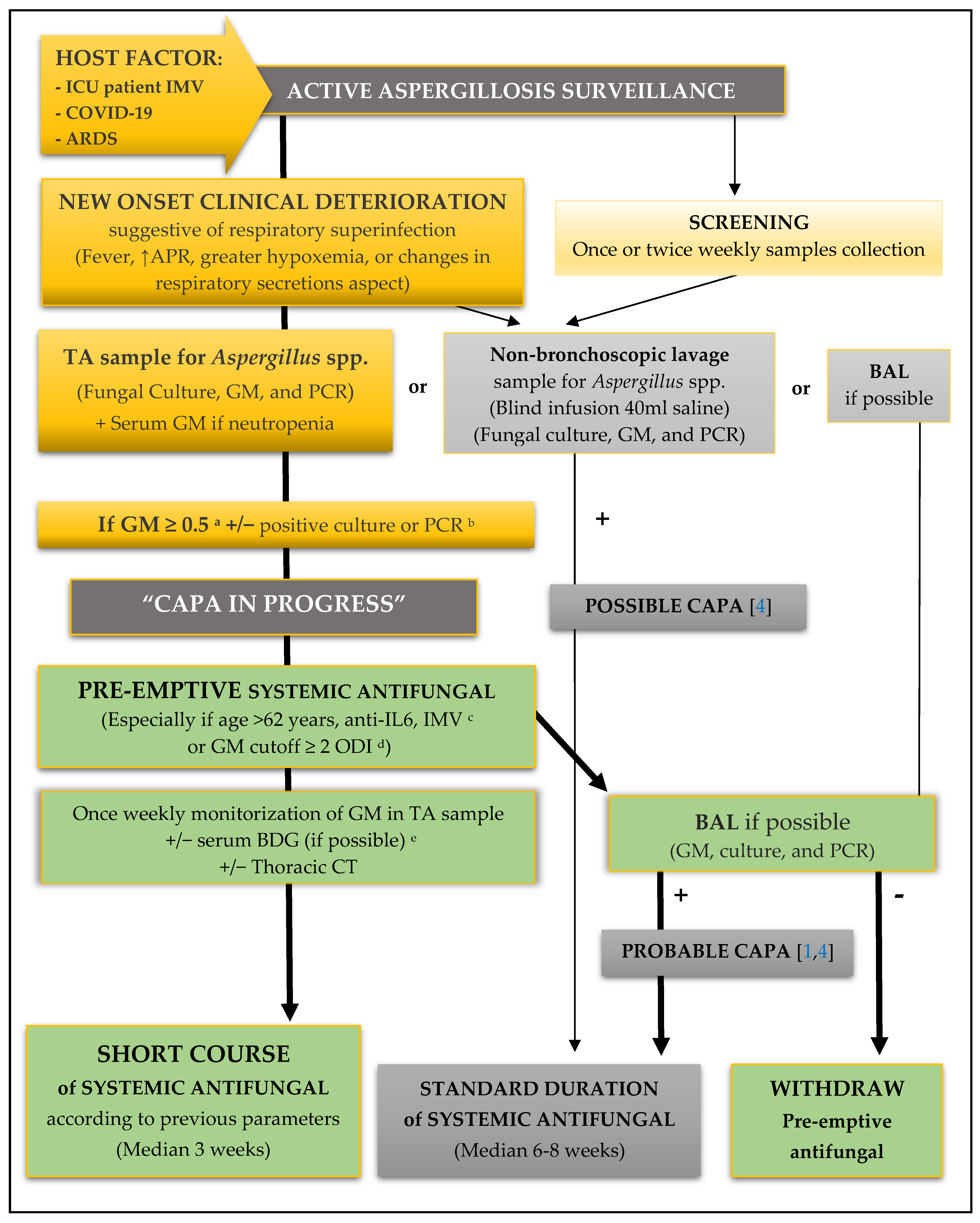 Biomedicines 10 01683 g002 550