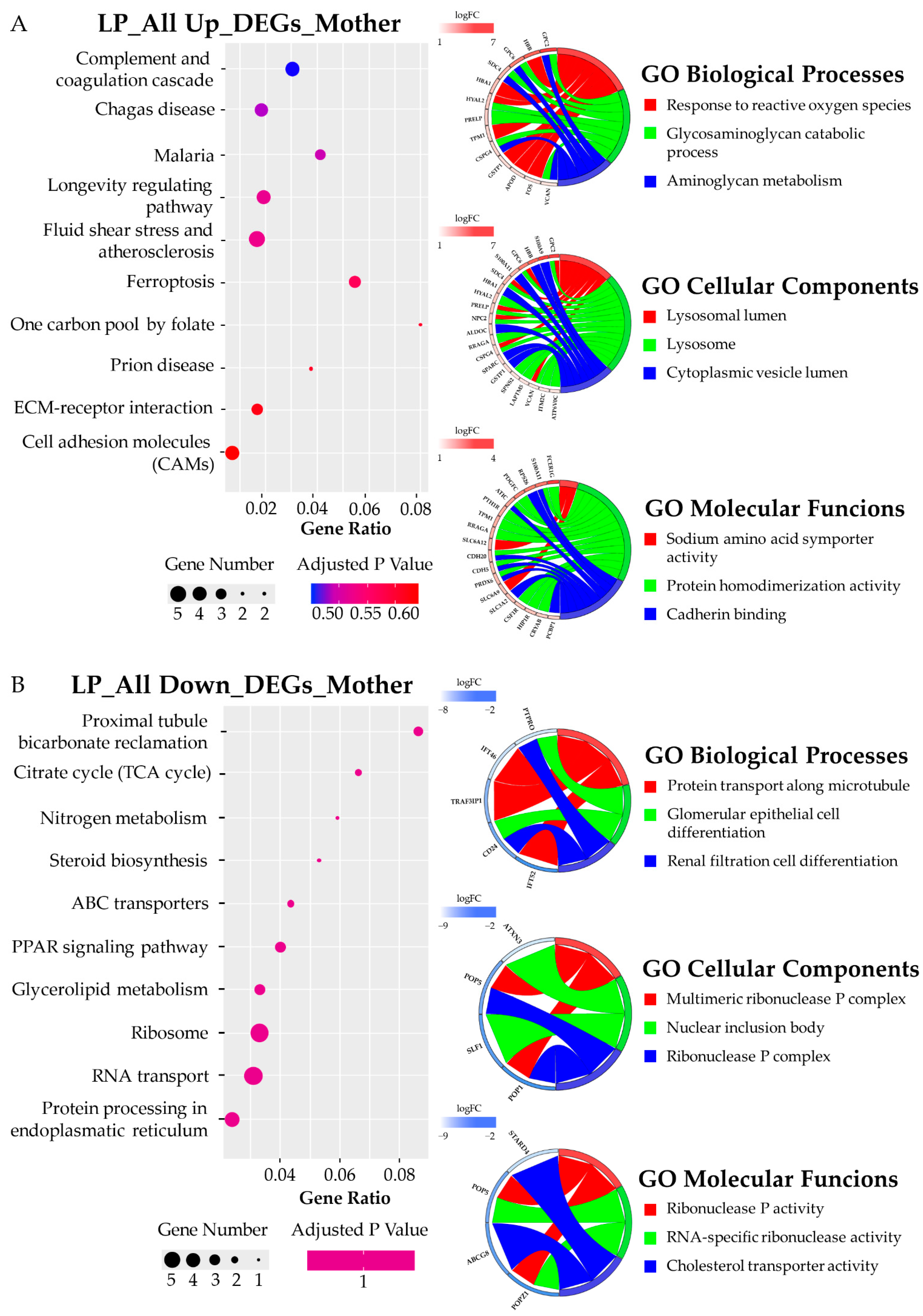 Biomedicines 10 01687 g005