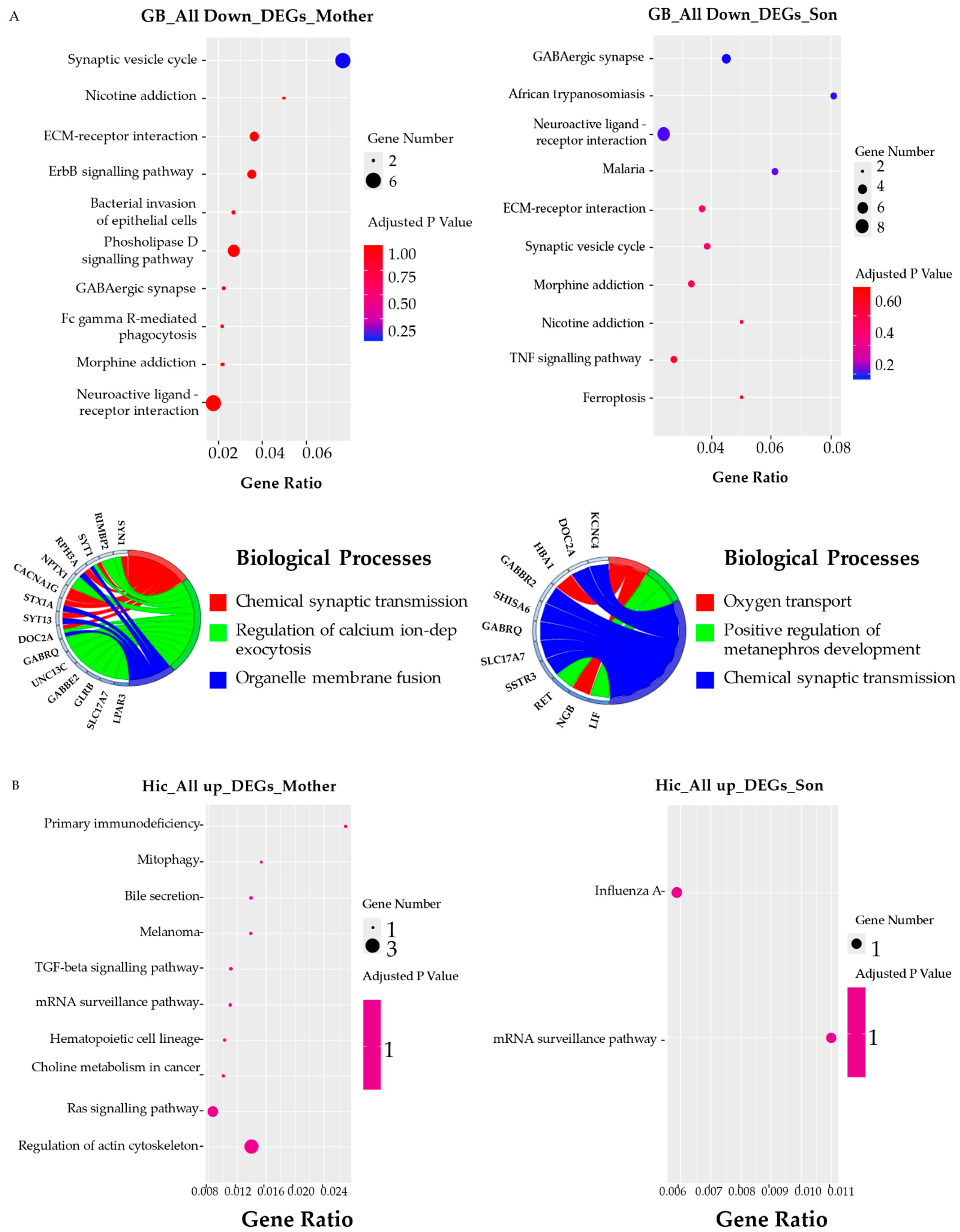Biomedicines 10 01687 g006