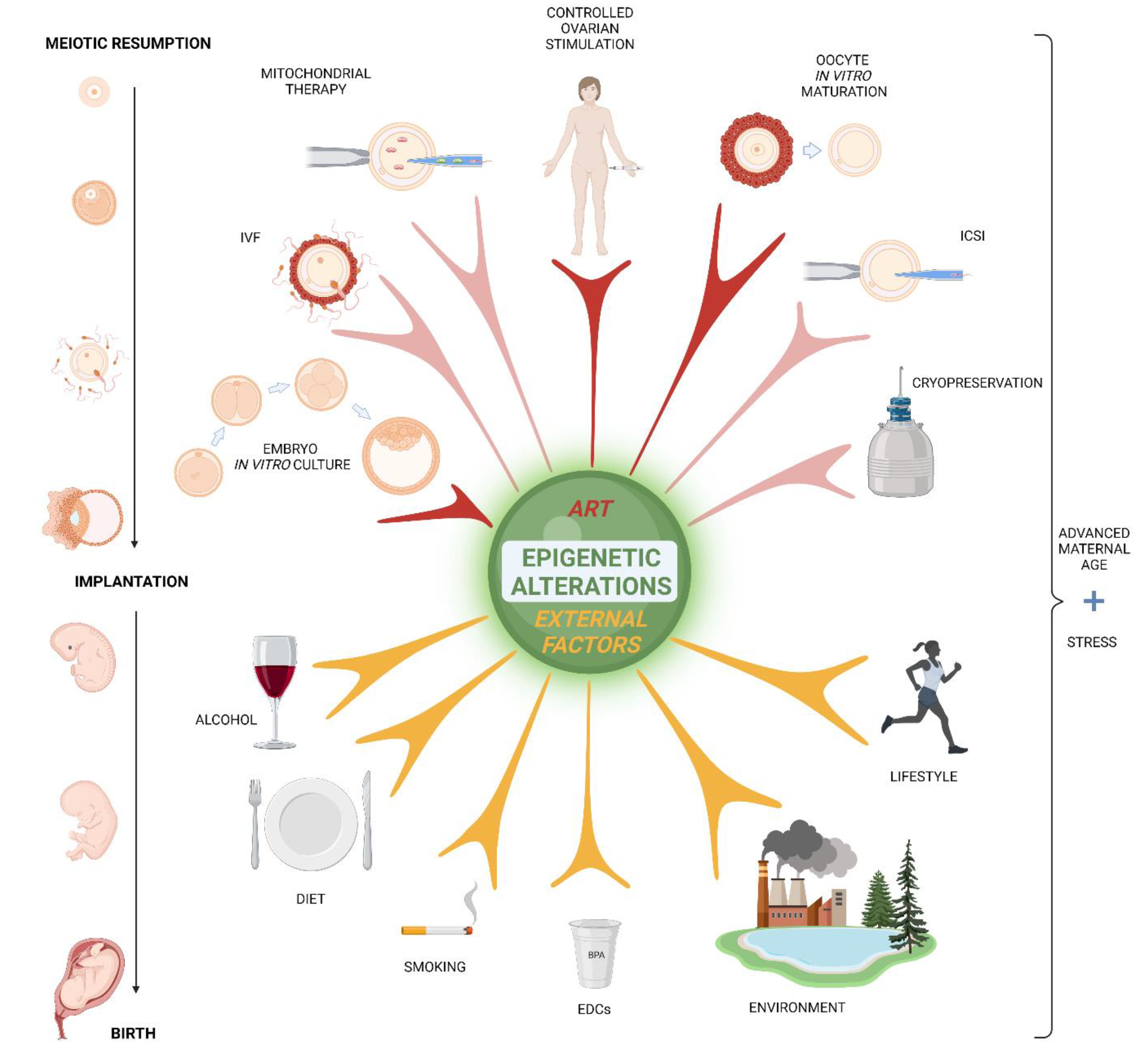 Biomedicines 10 01689 g003 Biomedicines 10 01689 g003