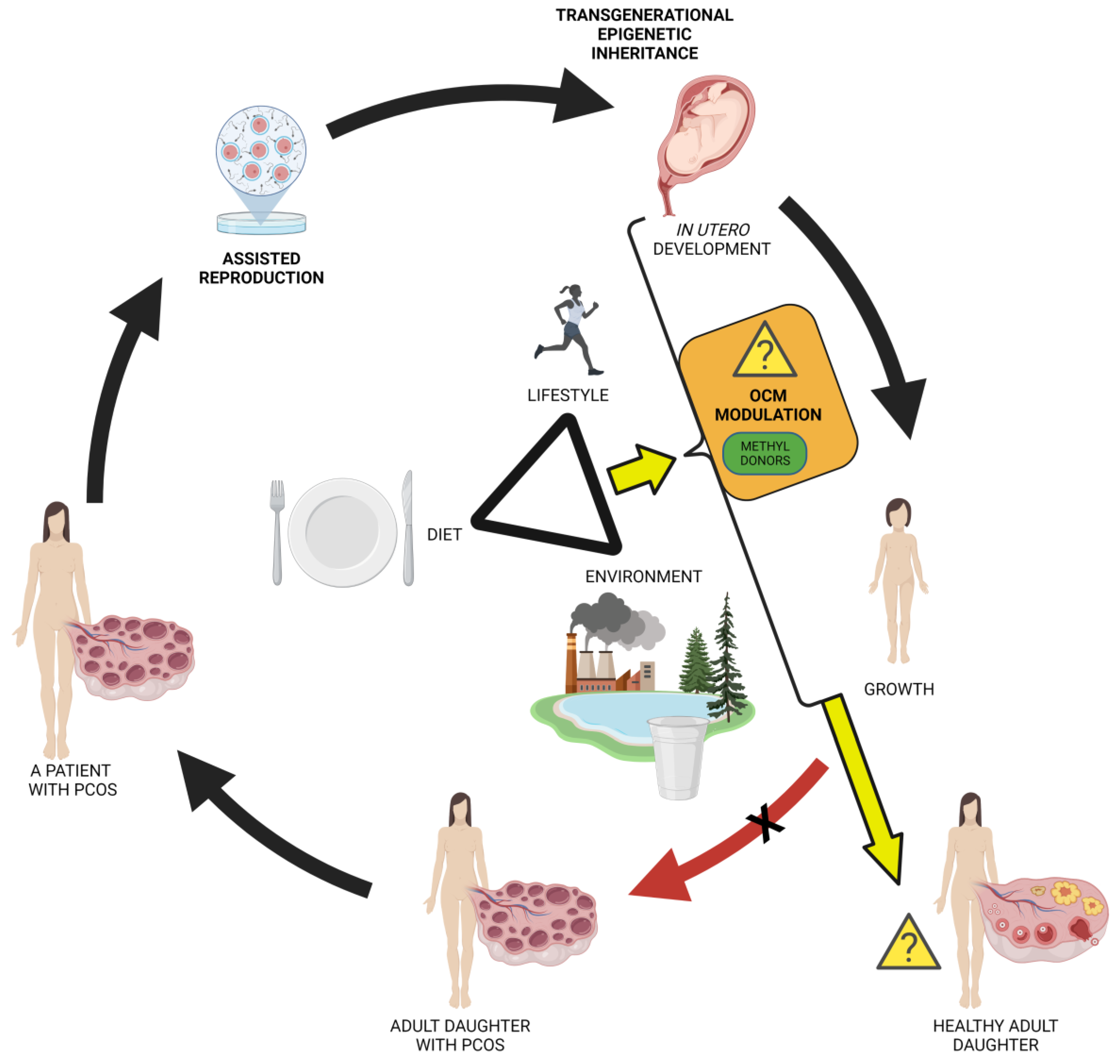 Biomedicines 10 01689 g004 Biomedicines 10 01689 g004