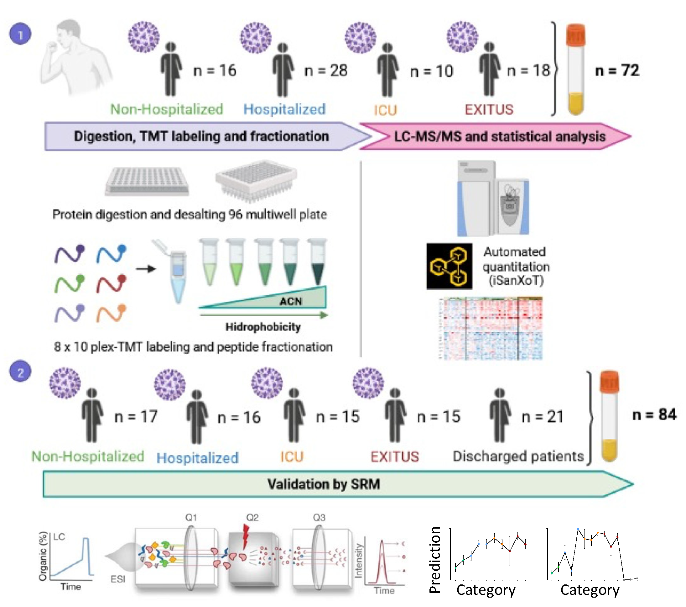 Biomedicines 10 01690 g001