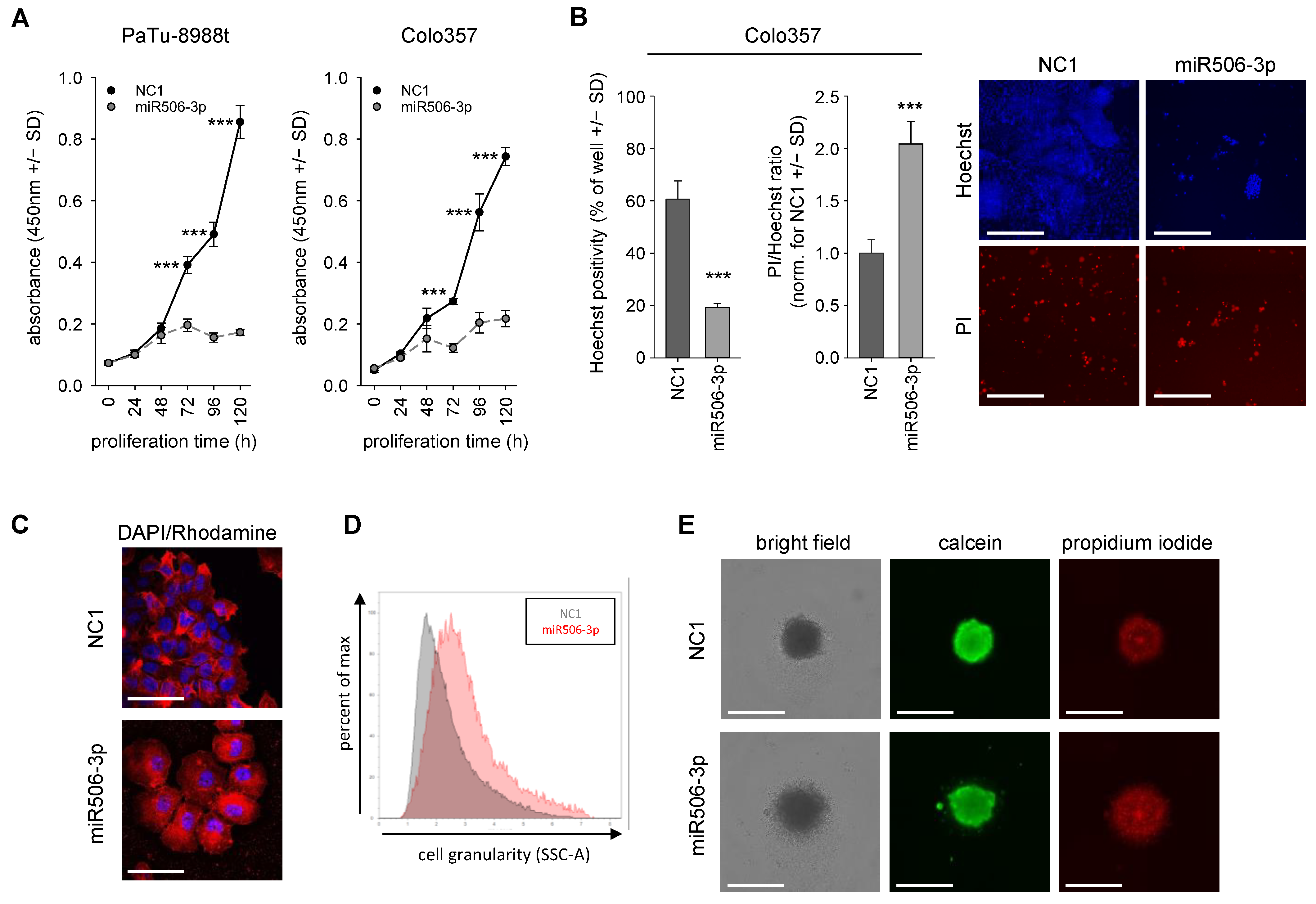 Biomedicines 10 01692 g001 Biomedicines 10 01692 g001