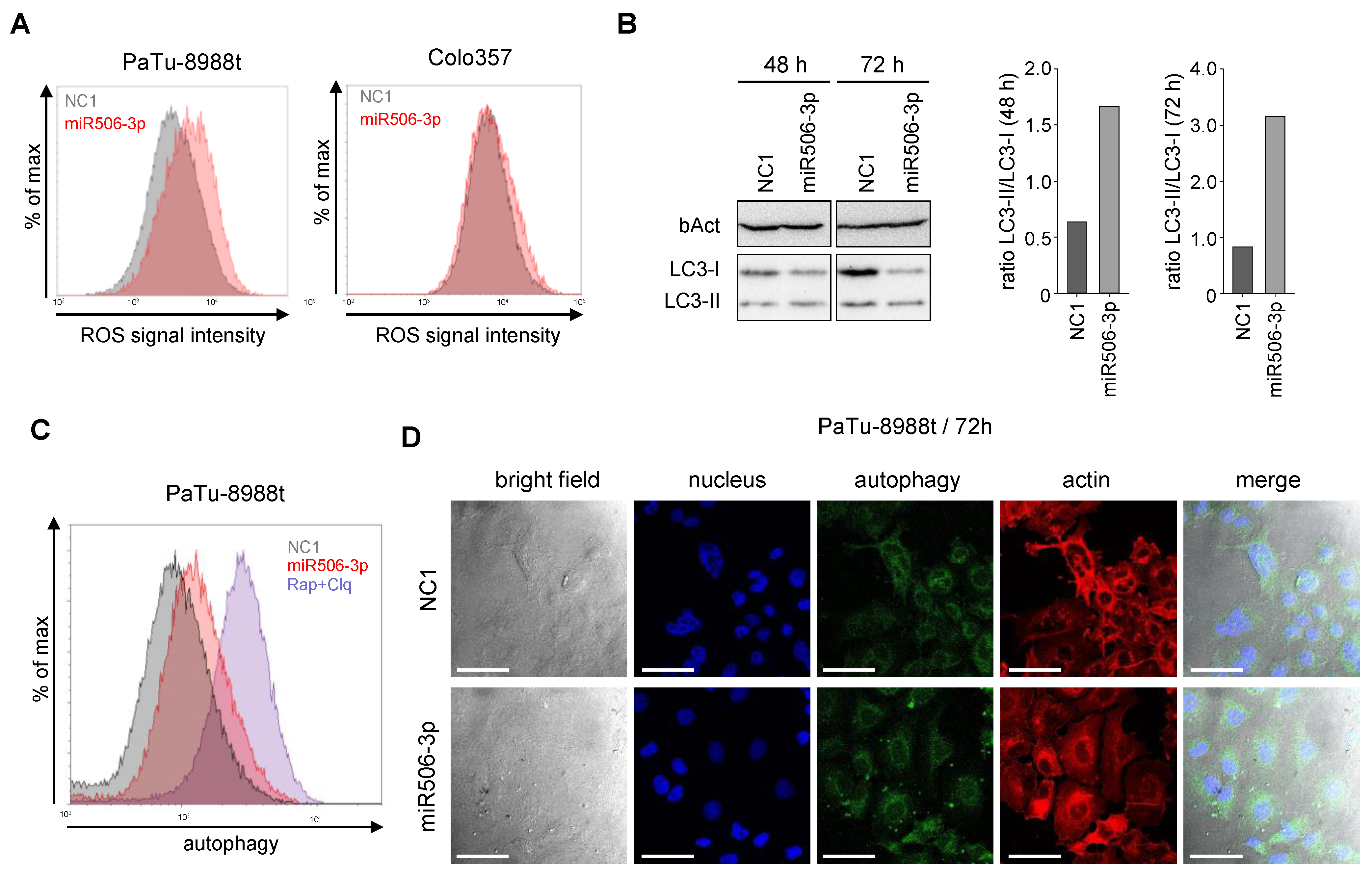 Biomedicines 10 01692 g003 Biomedicines 10 01692 g003