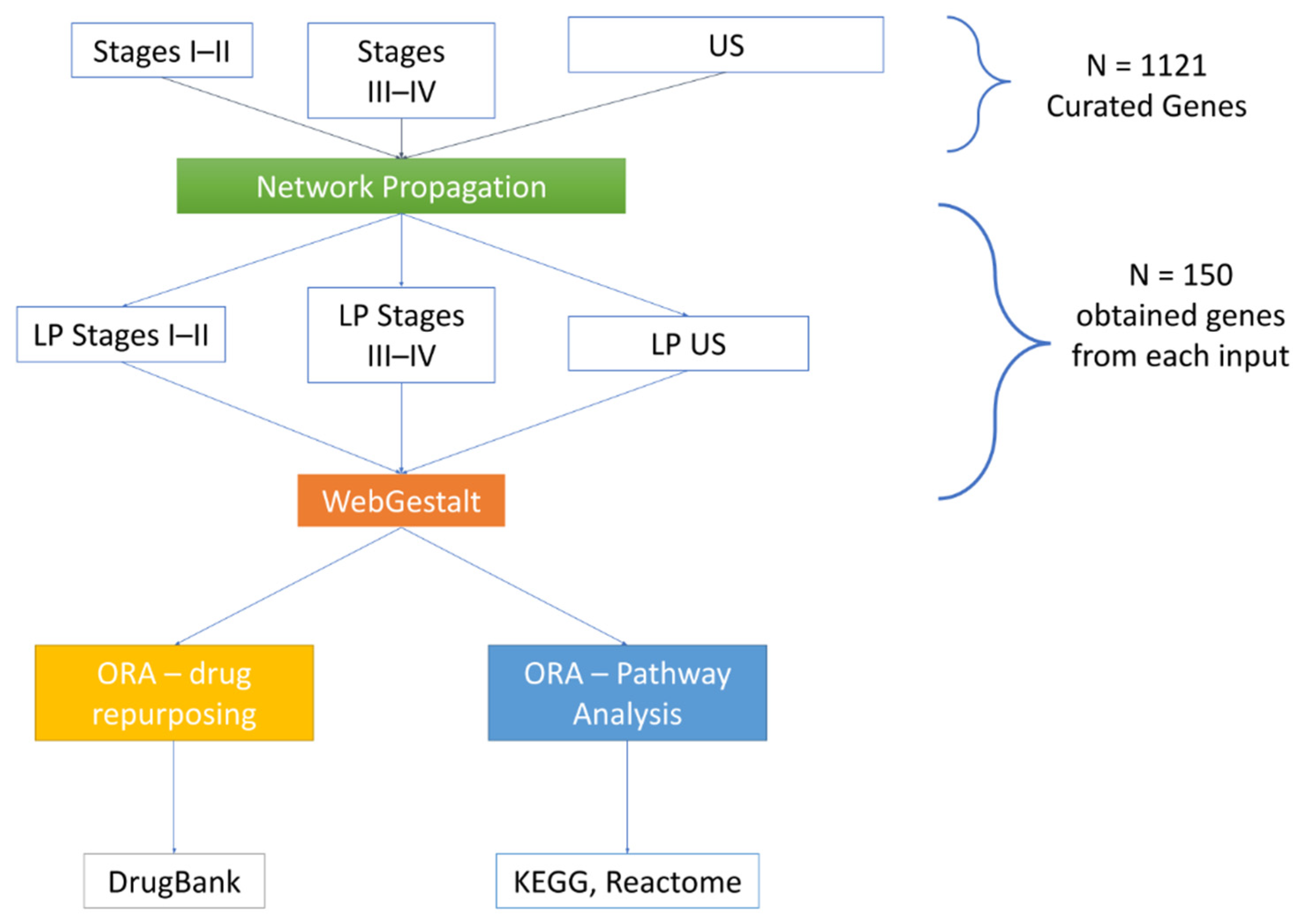 Biomedicines 10 01694 g003