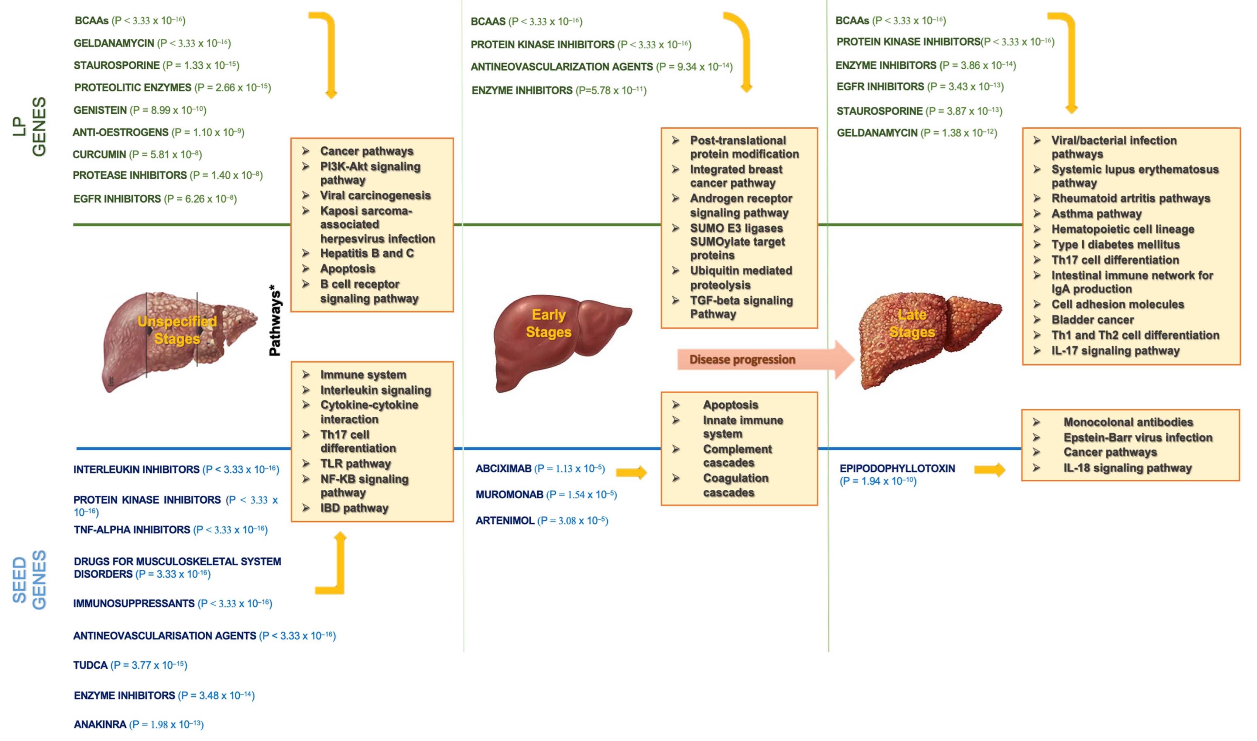 Biomedicines 10 01694 g005