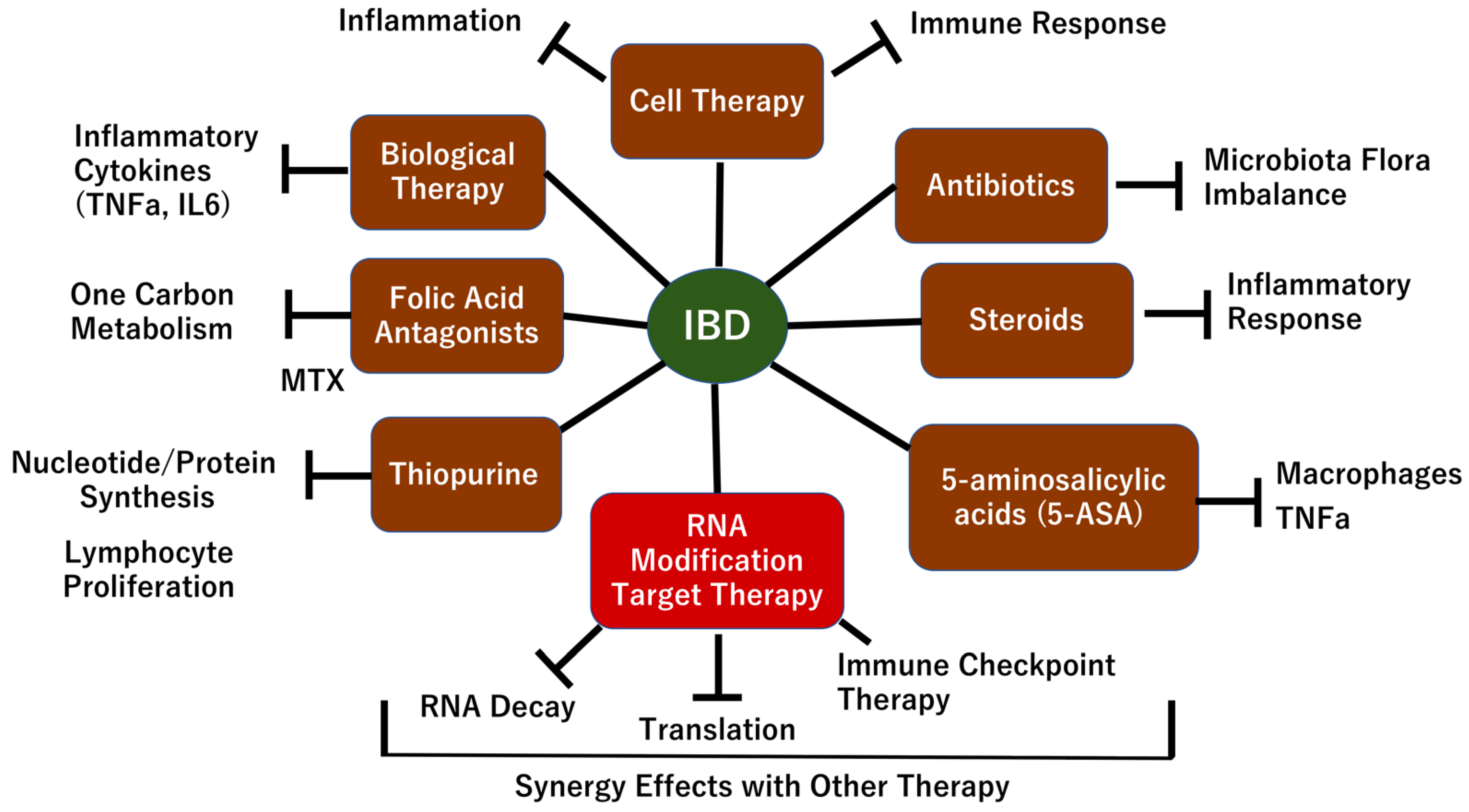 Biomedicines 10 01695 g005 550