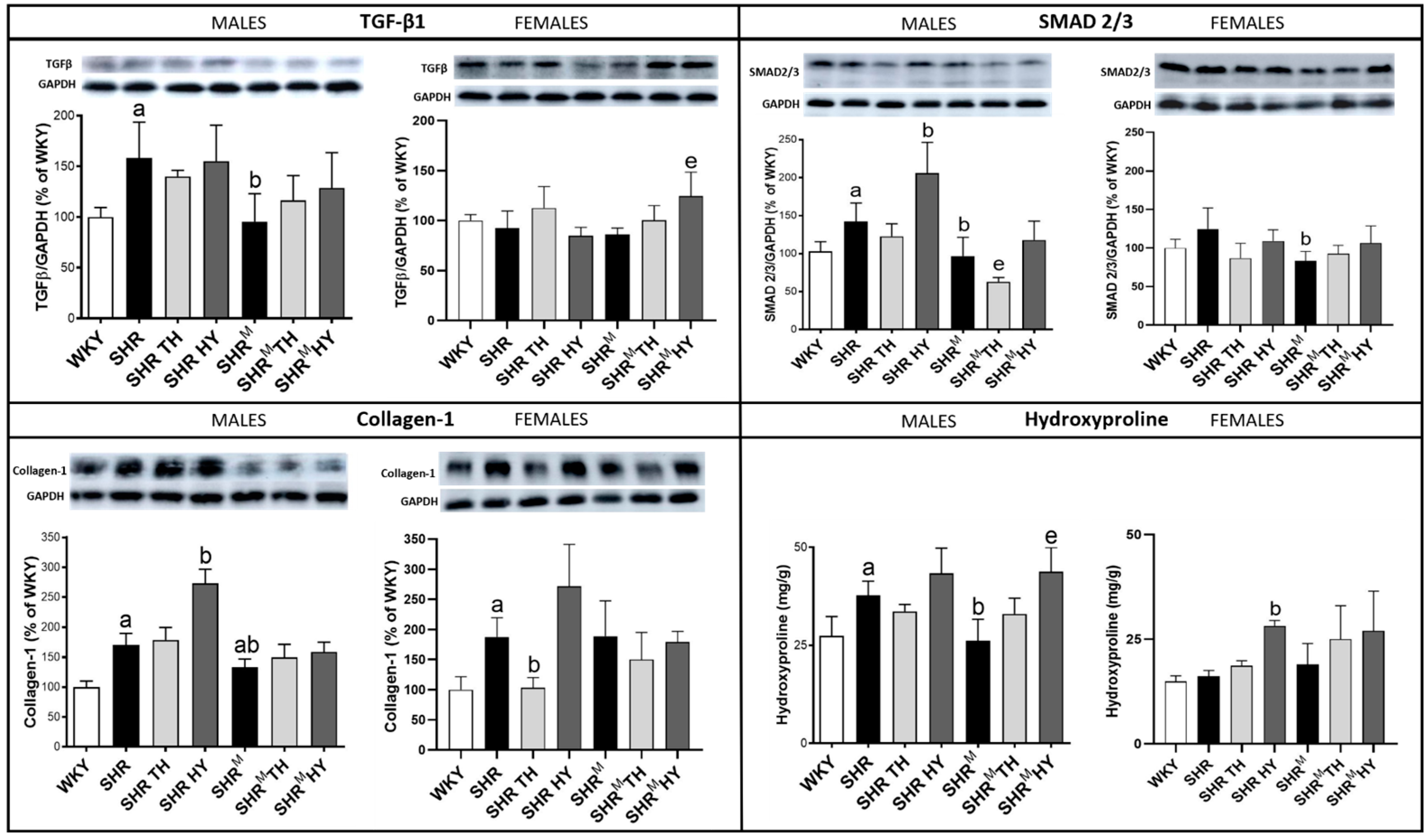 Biomedicines 10 01707 g010