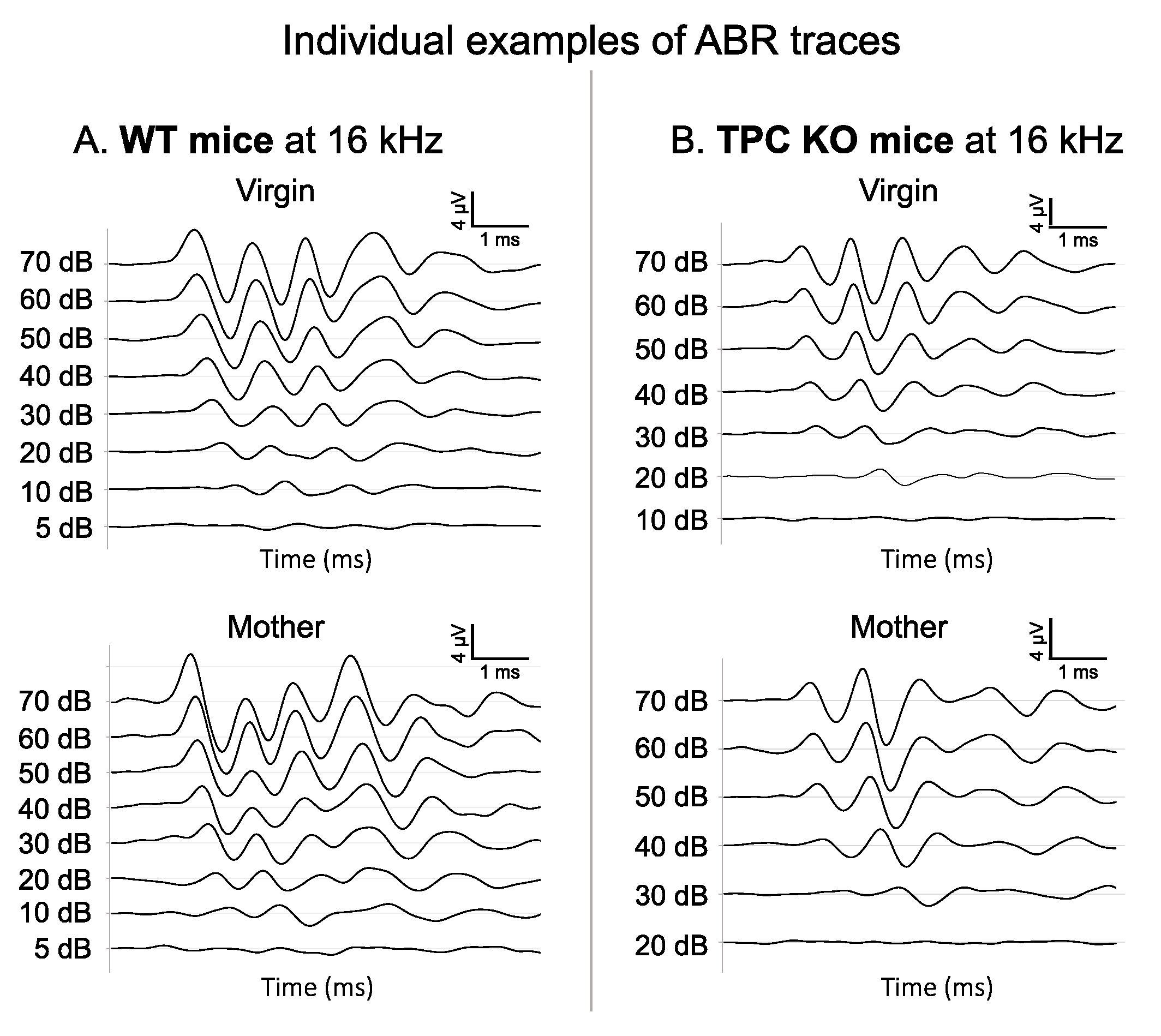 Biomedicines 10 01708 g001