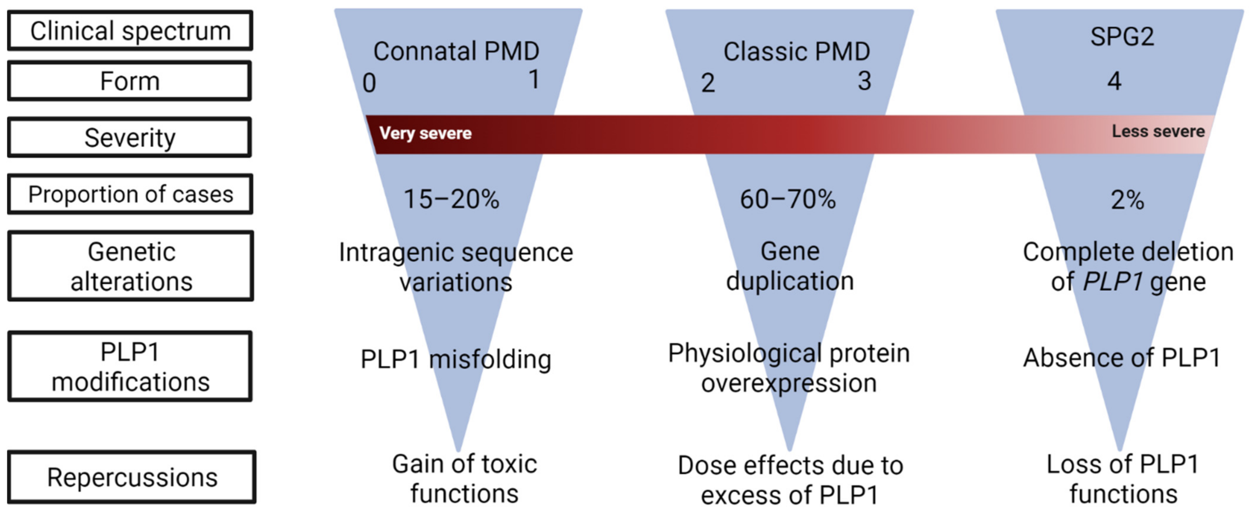 Biomedicines 10 01709 g001