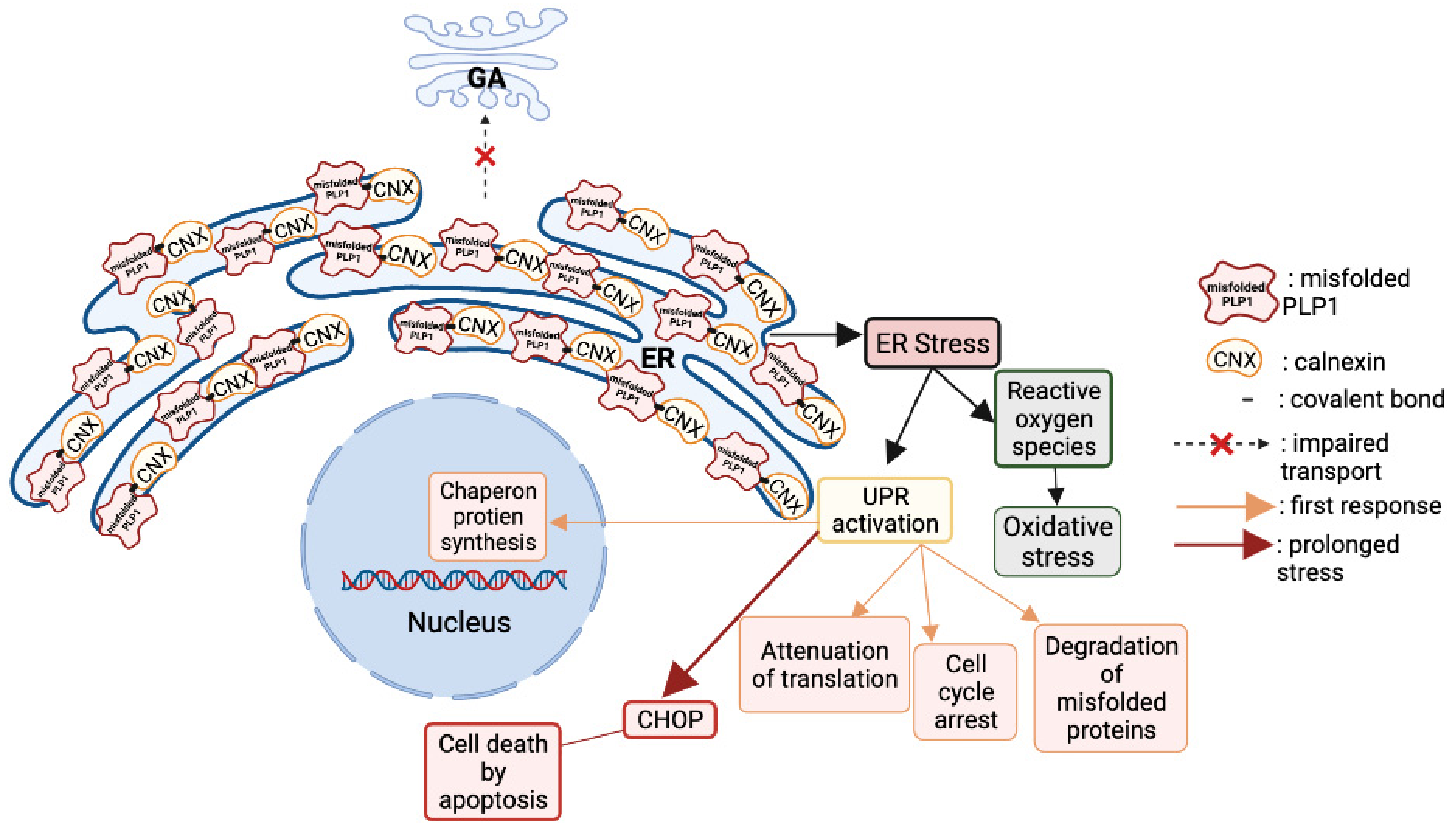 Biomedicines 10 01709 g005