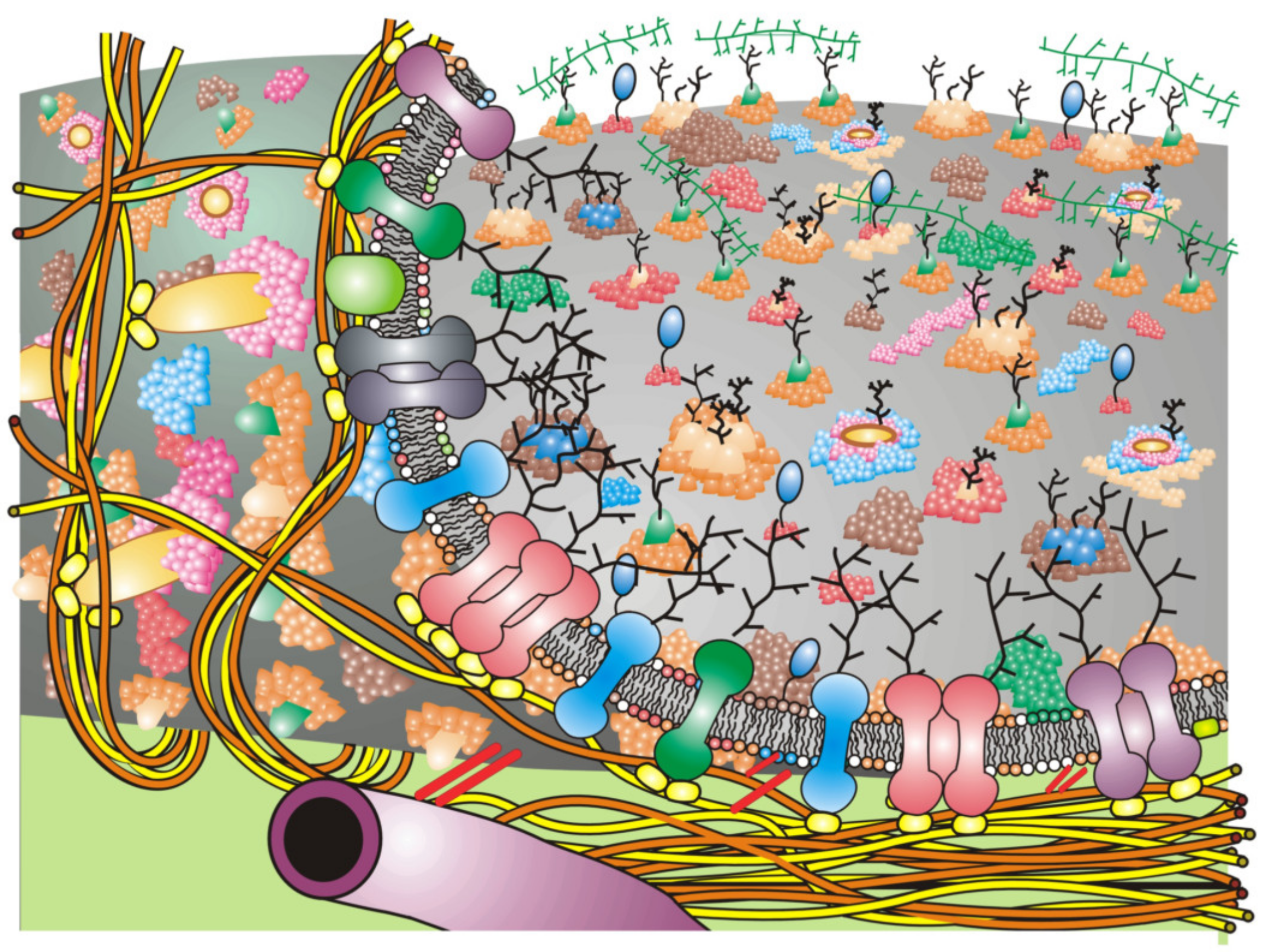 Biomedicines 10 01711 g002