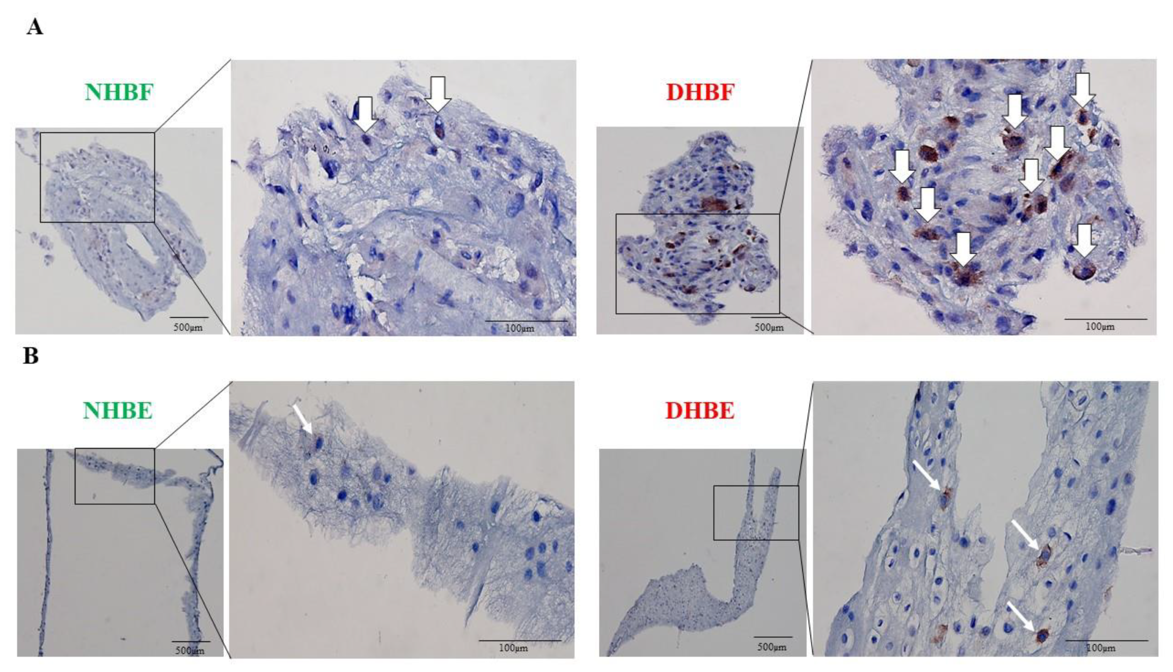 Biomedicines 10 01716 g003