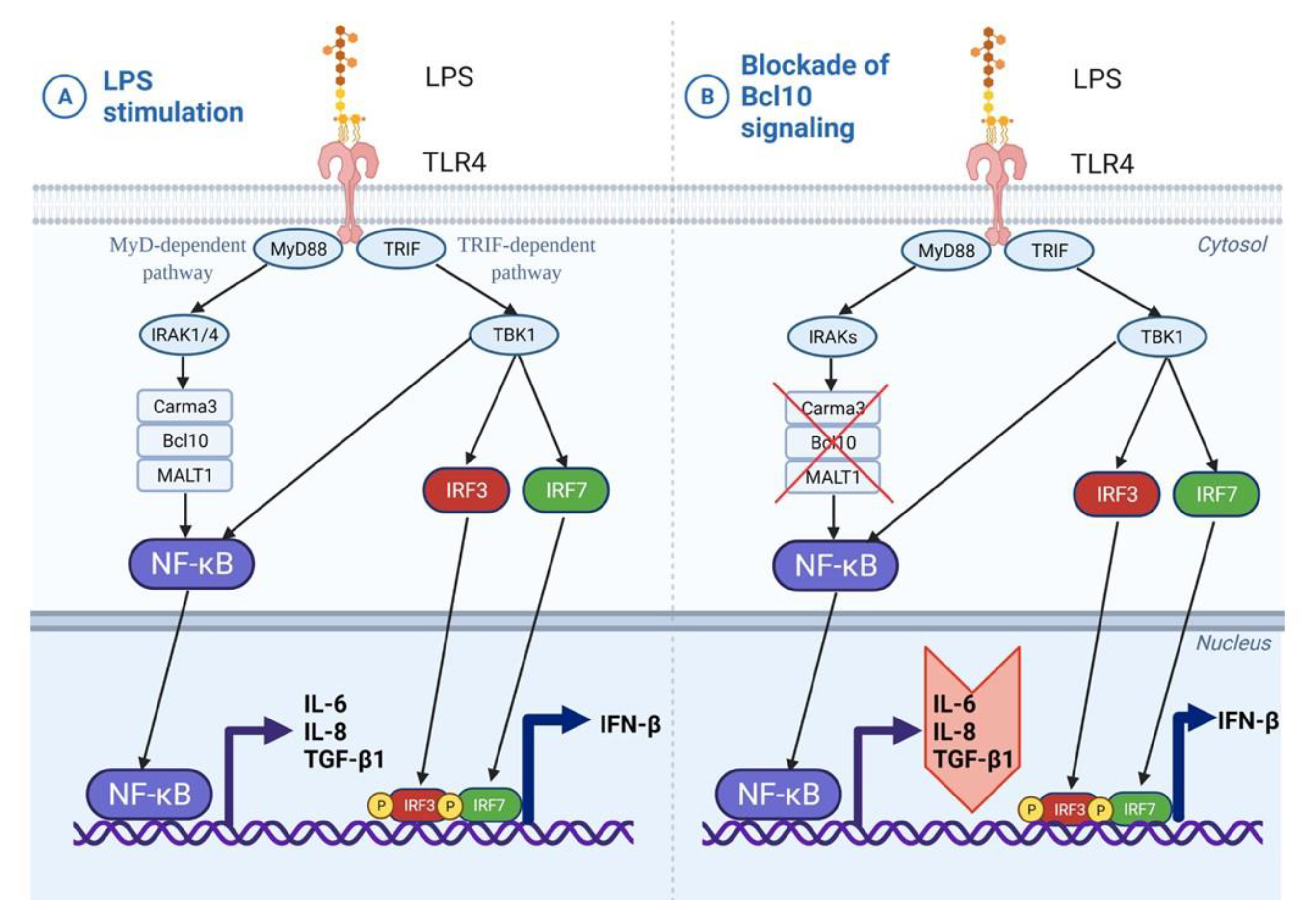 Biomedicines 10 01716 g006
