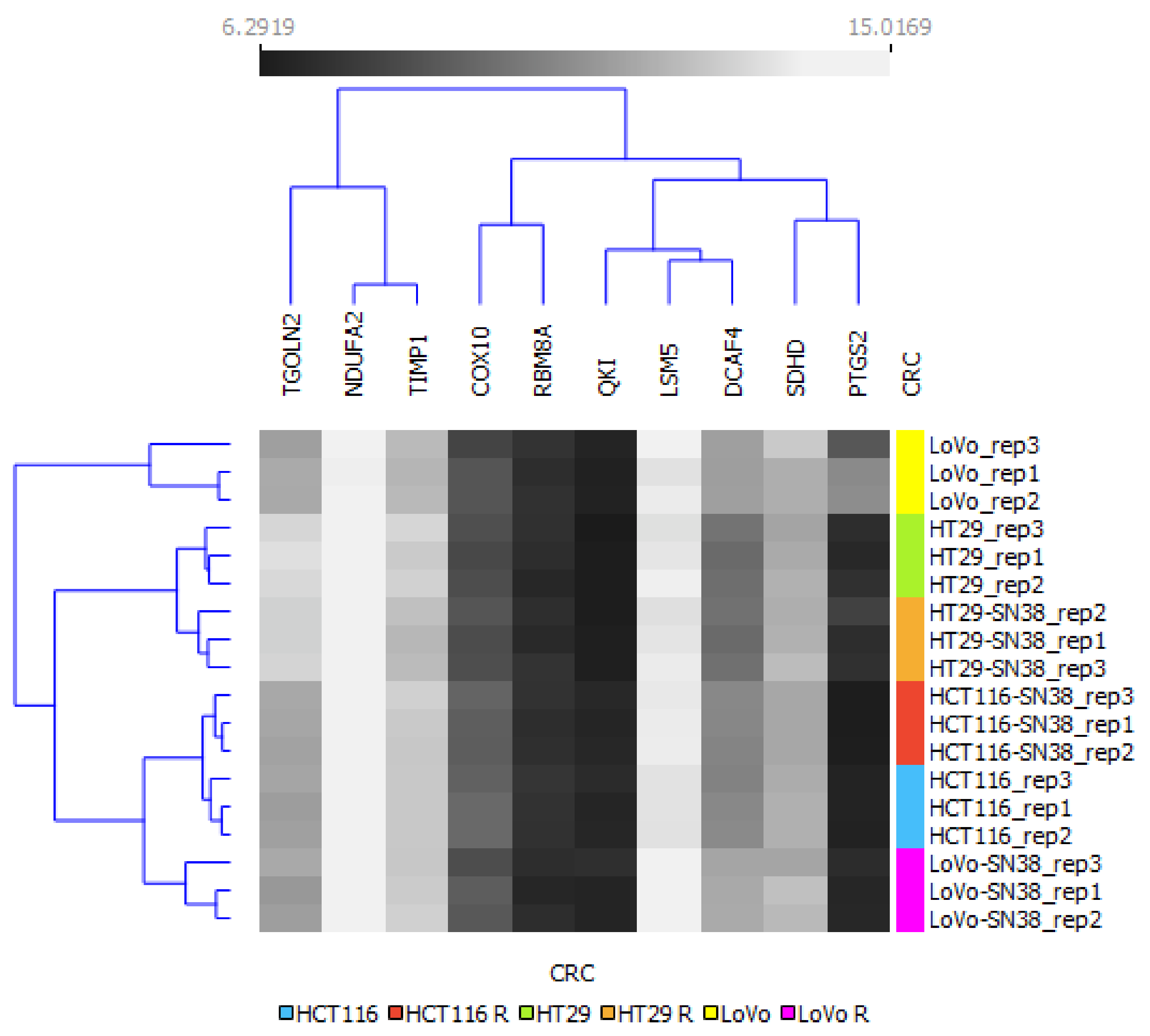 Biomedicines 10 01720 g005