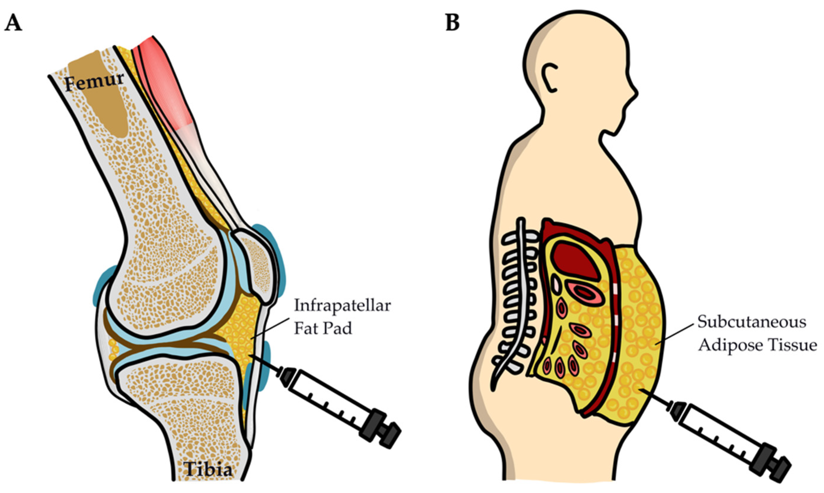 Biomedicines 10 01725 g002