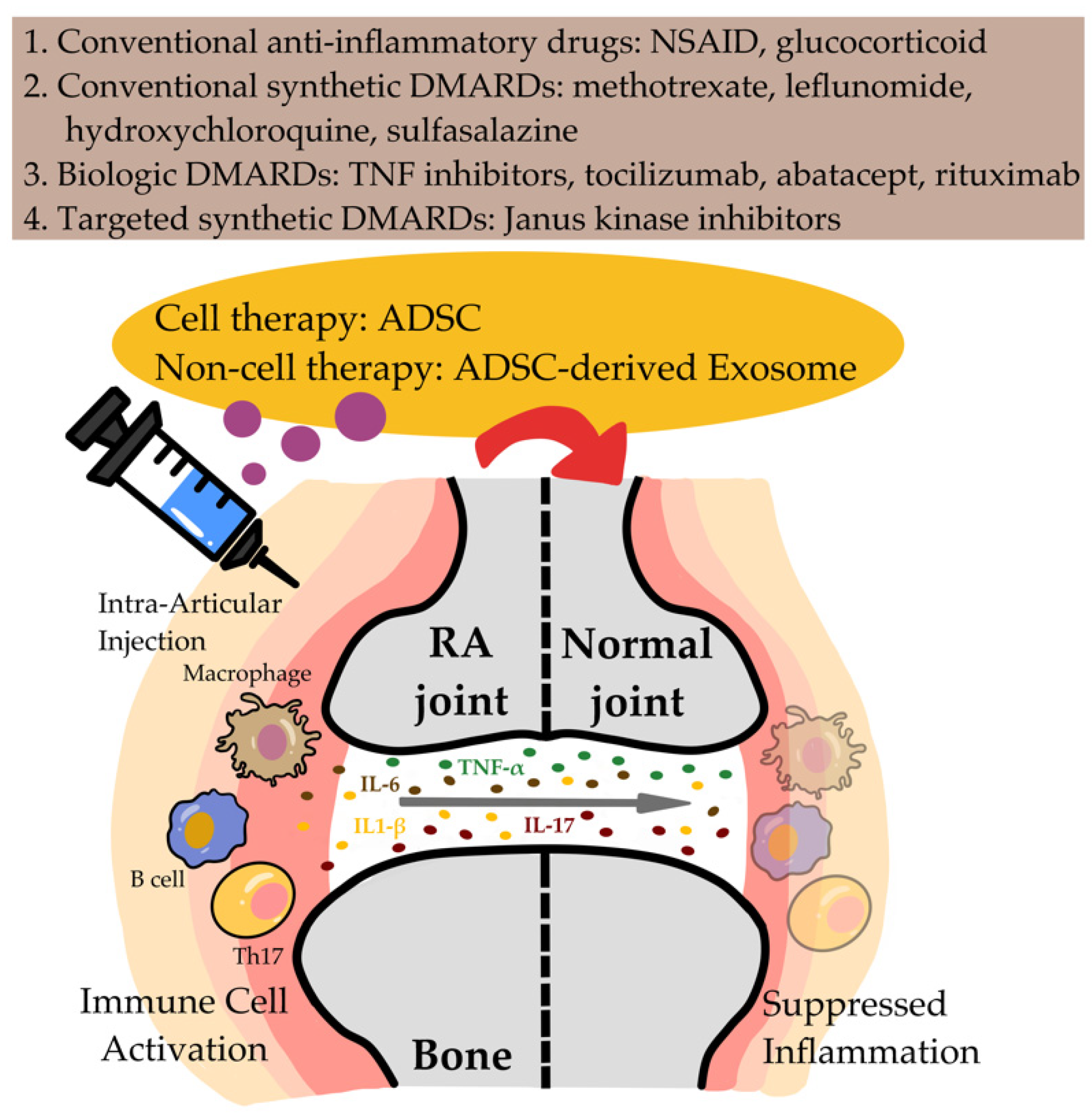 Biomedicines 10 01725 g003
