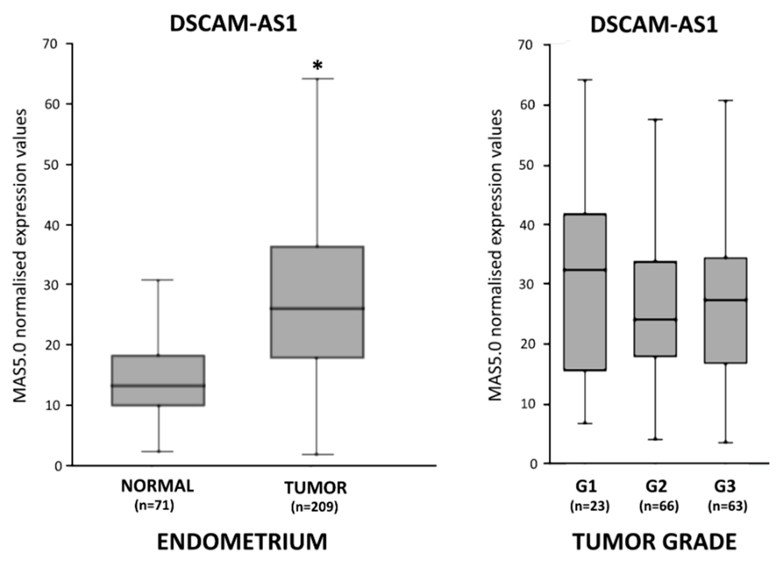 Biomedicines 10 01727 g001 Biomedicines 10 01727 g001