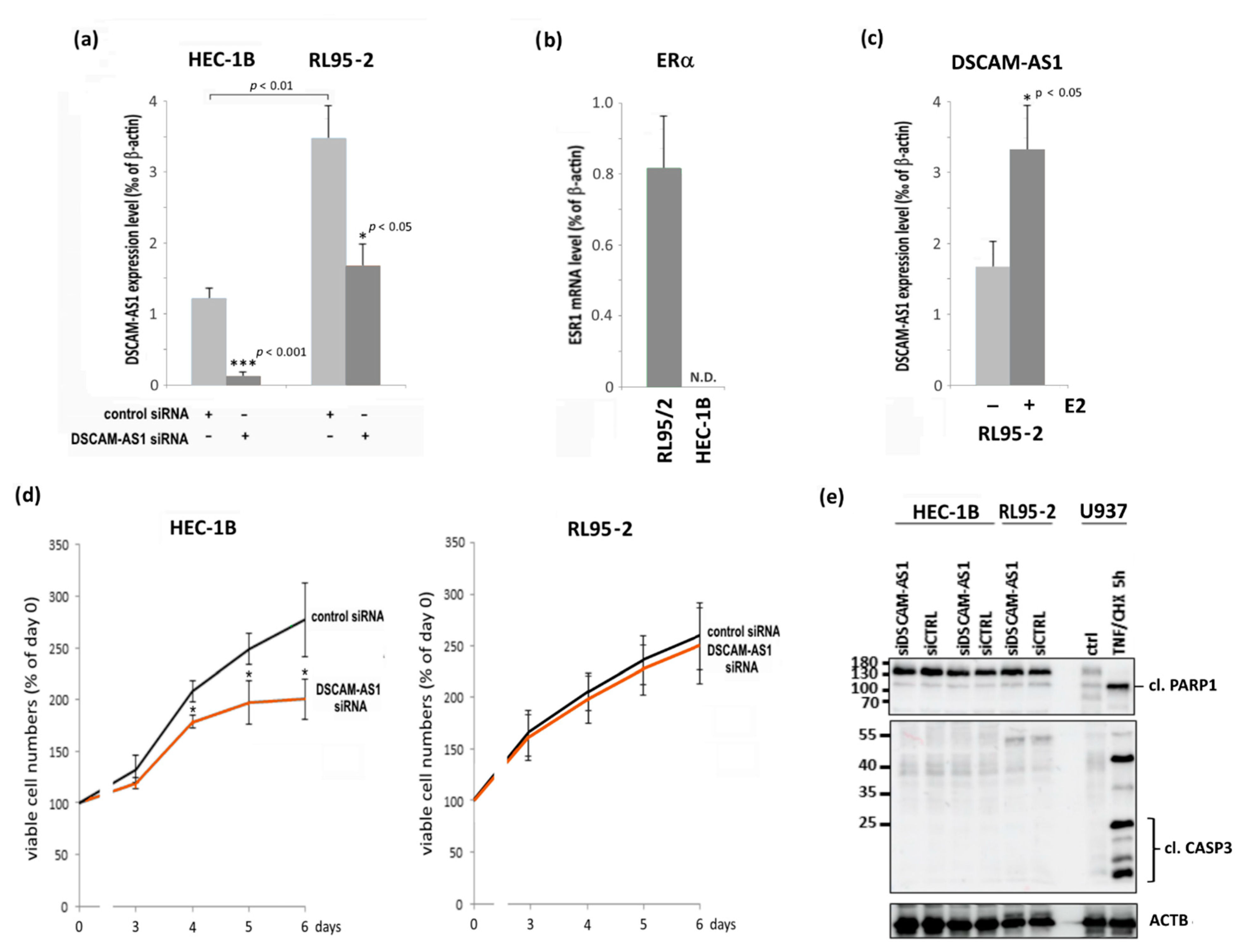 Biomedicines 10 01727 g002 Biomedicines 10 01727 g002