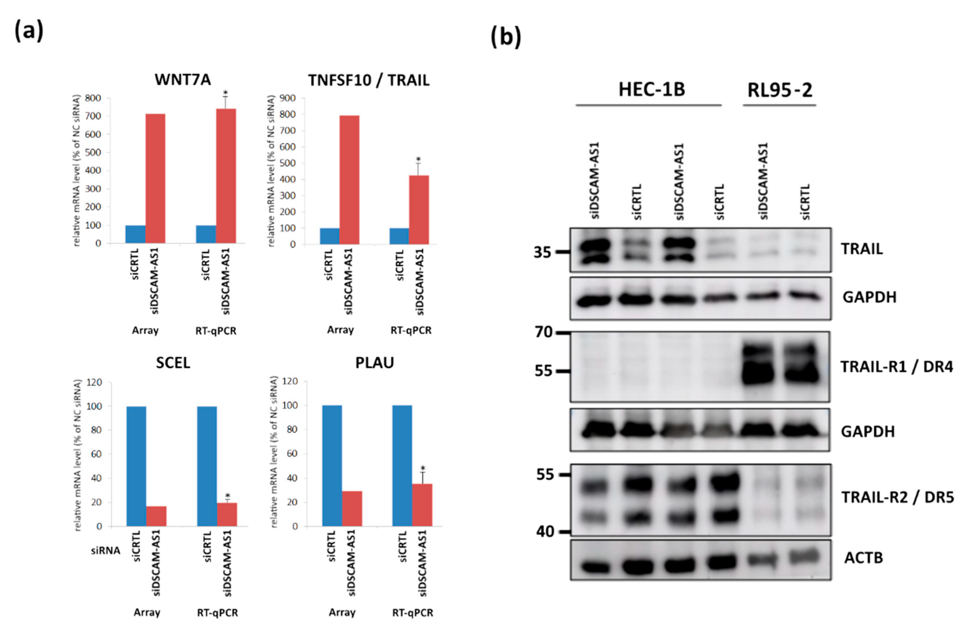 Biomedicines 10 01727 g004 Biomedicines 10 01727 g004