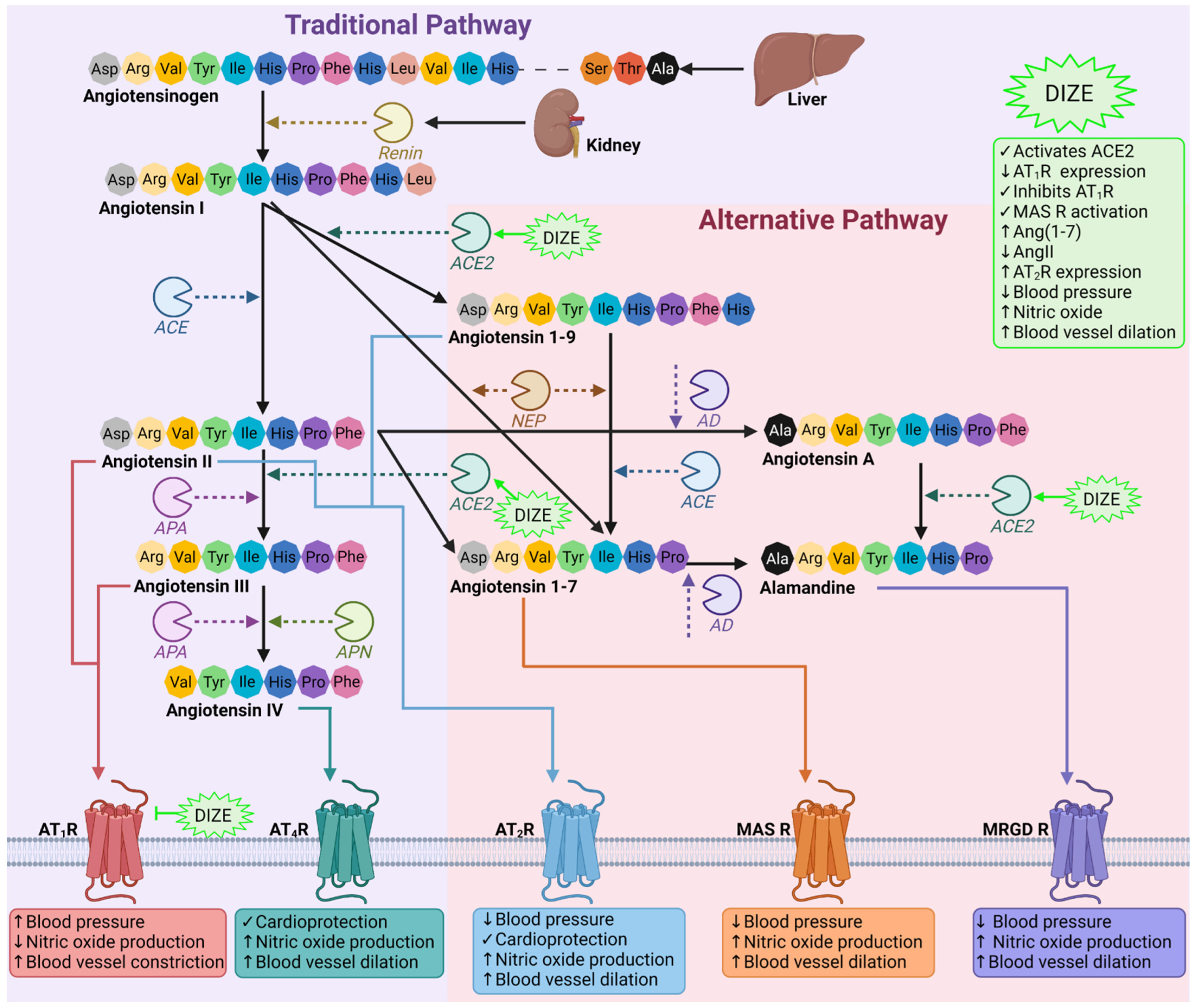 Biomedicines 10 01731 g001