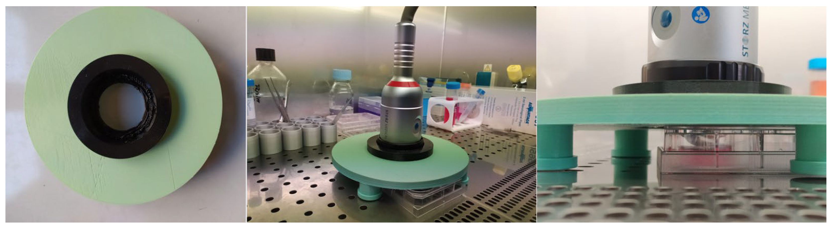 Biomedicines 10 01732 g001 550