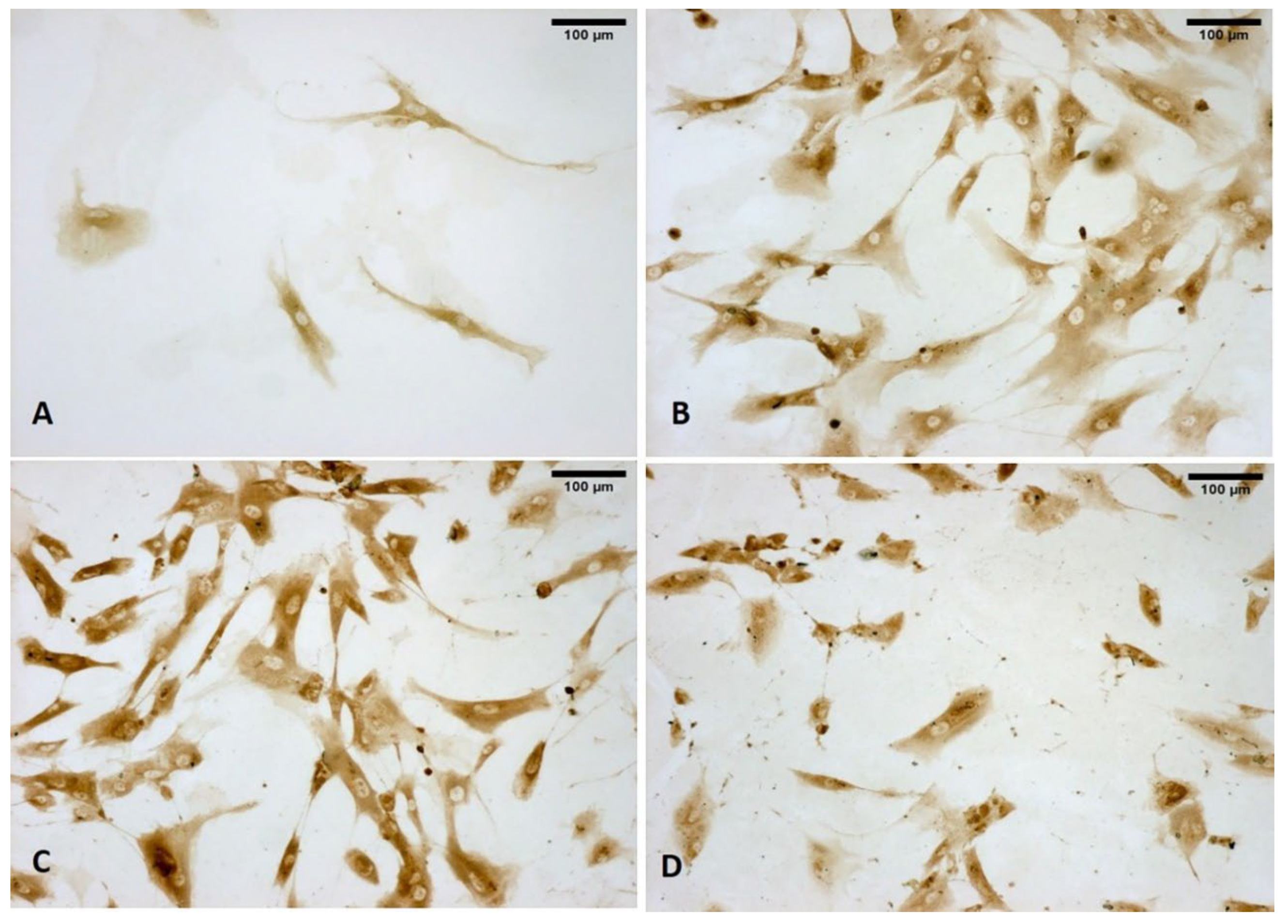 Biomedicines 10 01732 g007 550