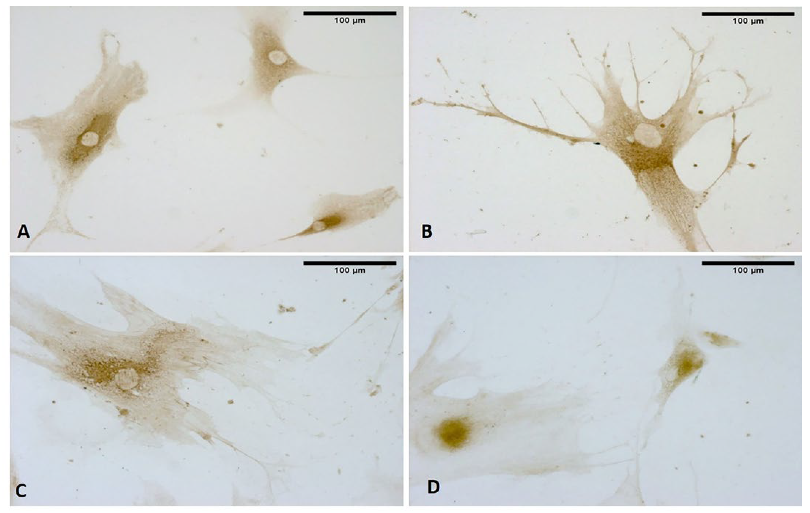 Biomedicines 10 01732 g013 550