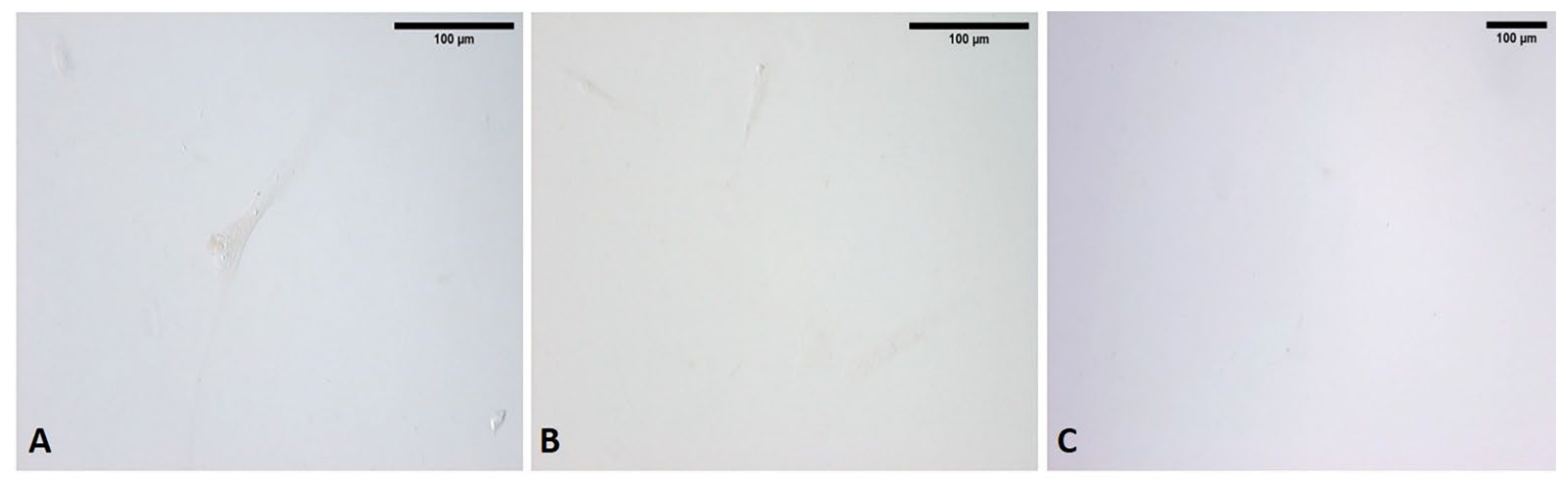 Biomedicines 10 01732 g0a1 550