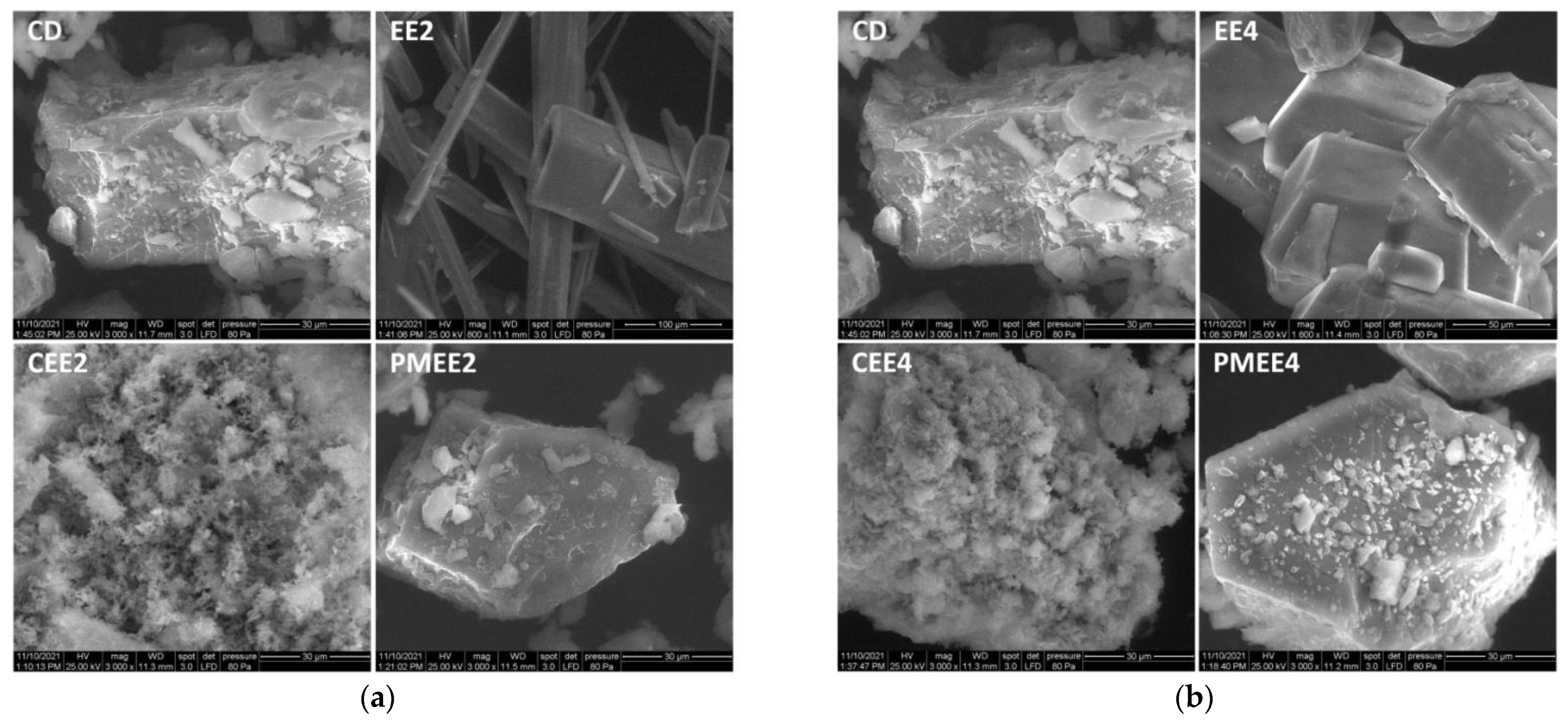 Biomedicines 10 01740 g002