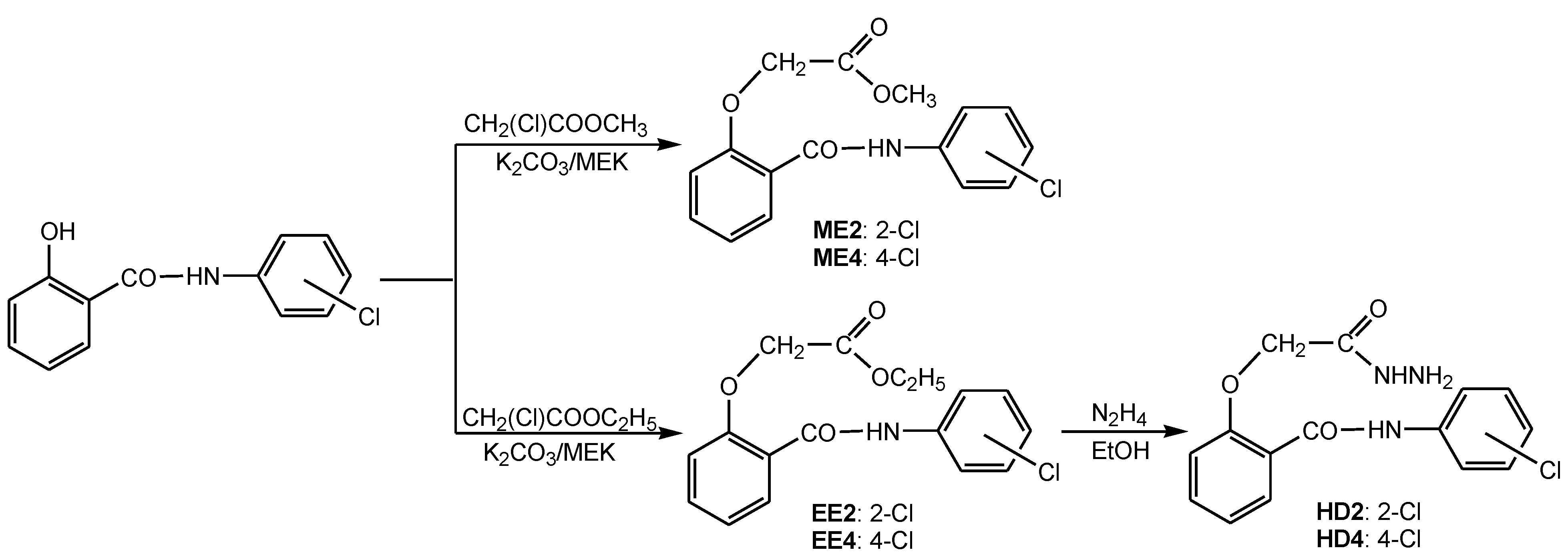 Biomedicines 10 01740 sch001
